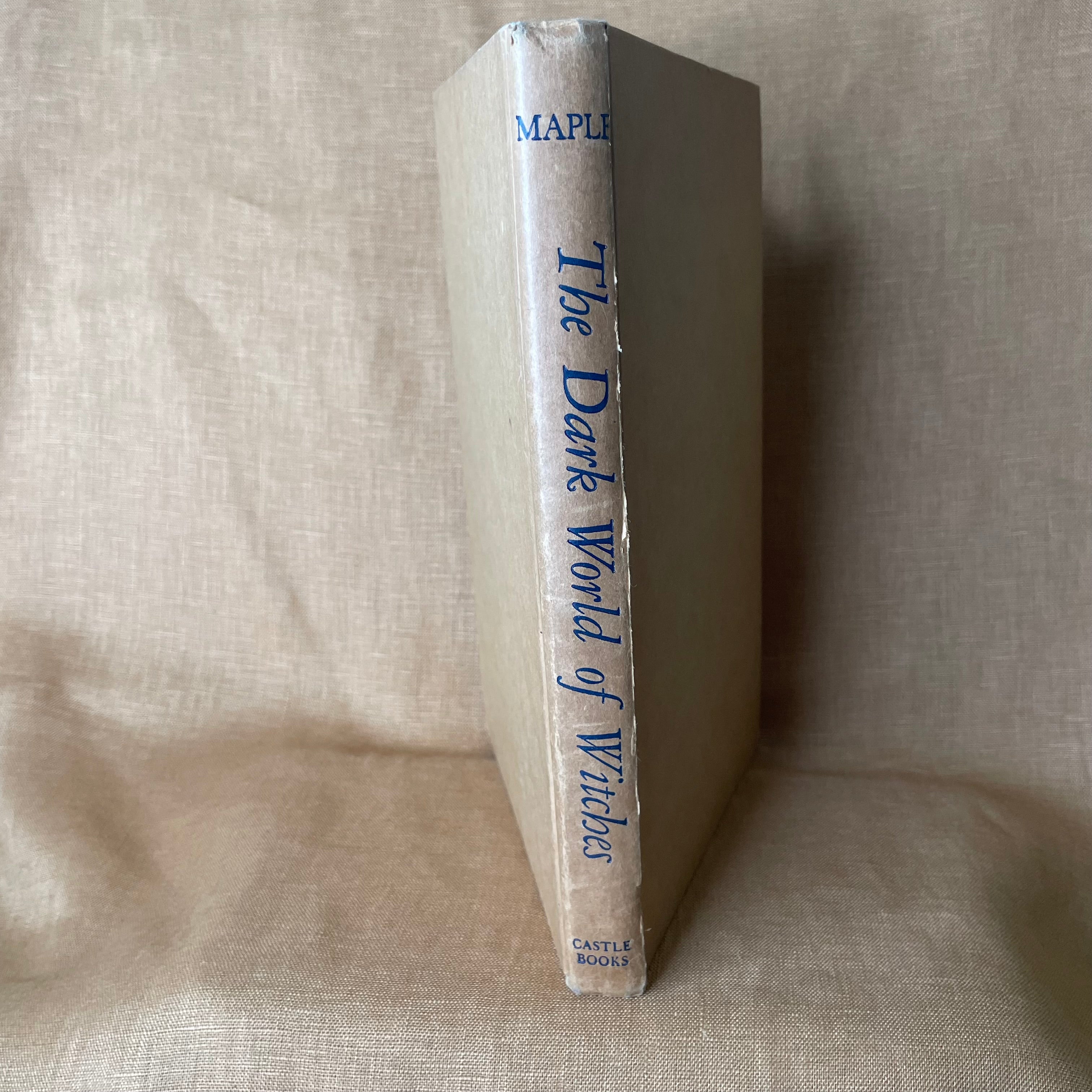 The Dark World of Witches — Eric Maple
