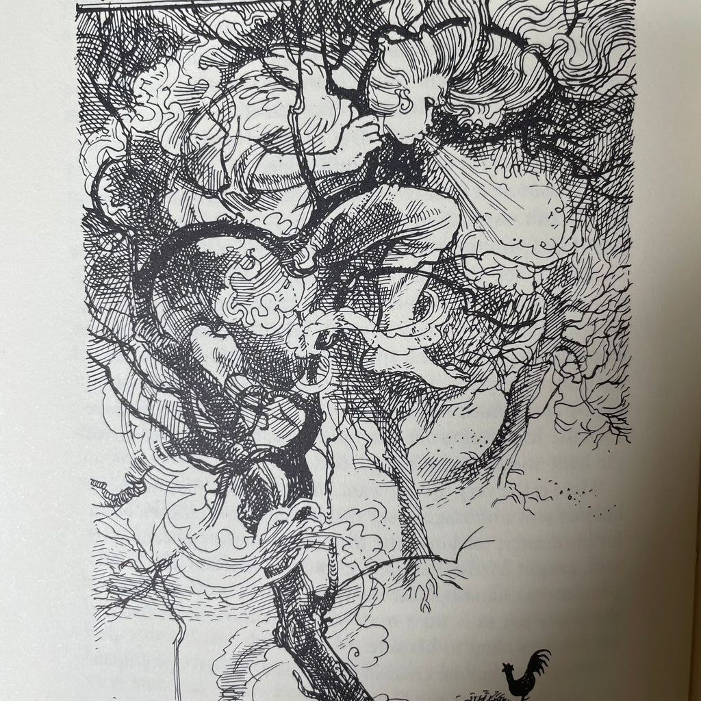Green Fairy Book — Andrew Lang