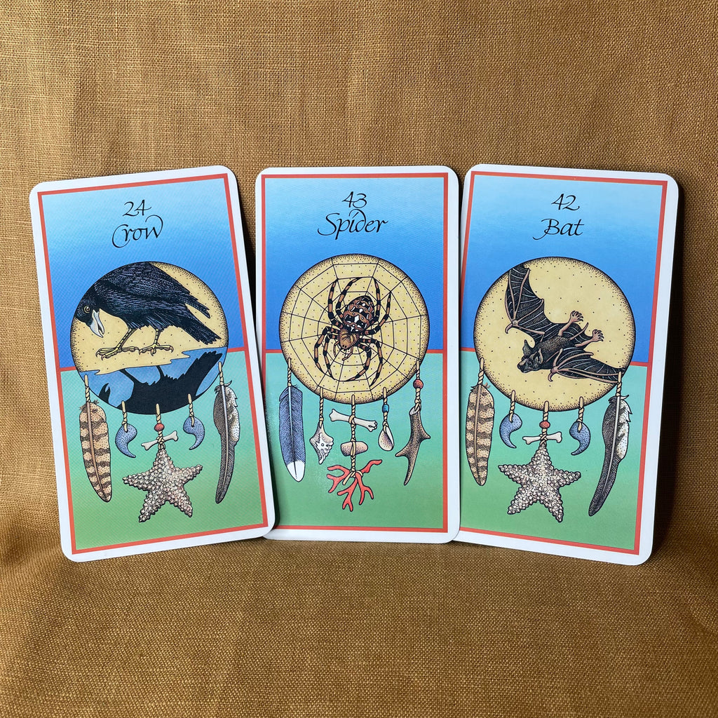 Medicine Cards by Jamie Sams & David Carson — Revised Expanded Edition Boxed Set