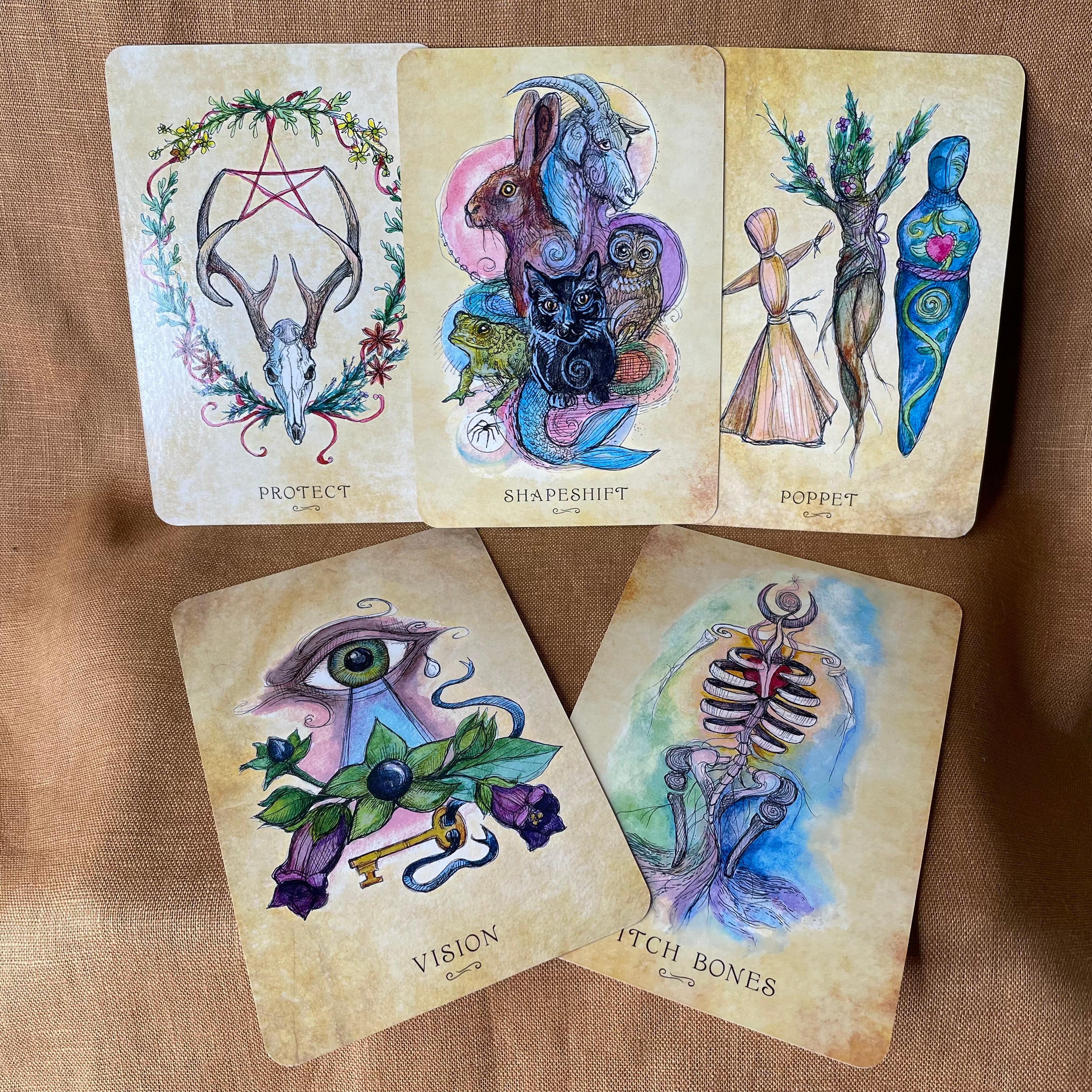 Anatomy of a Witch Oracle by Laura Tempest Zakroff — 48-Card Deck & Guidebook