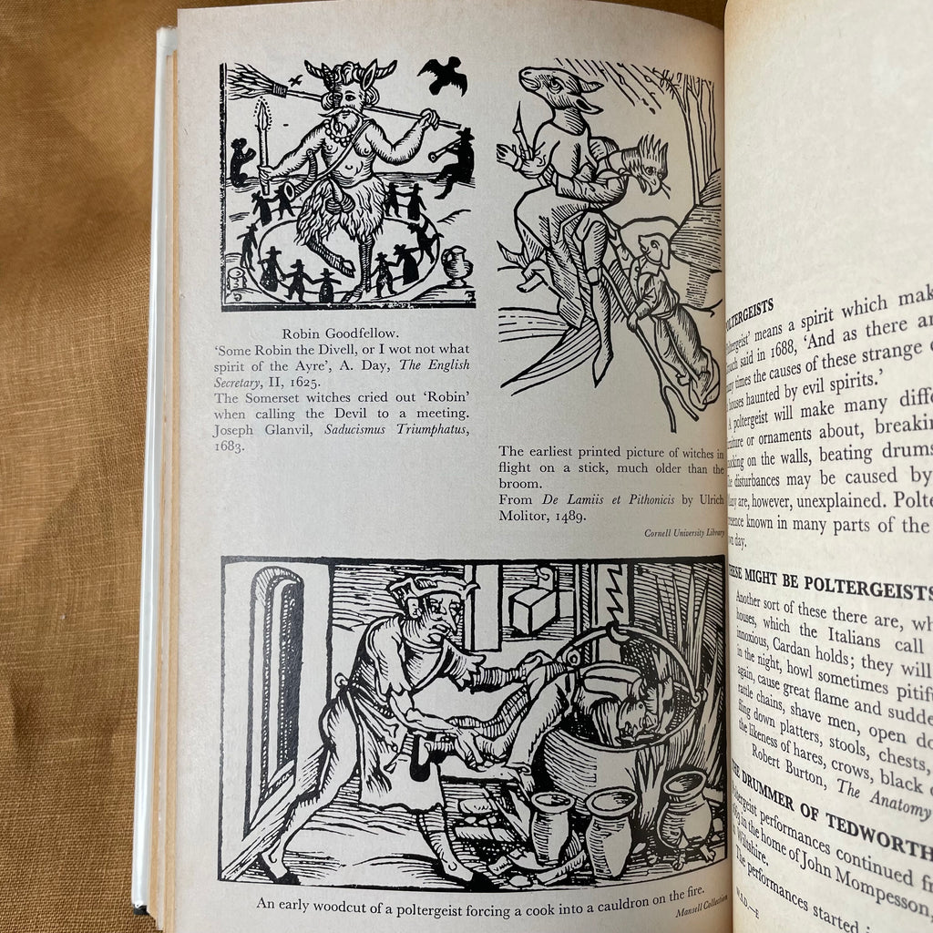 Witch, Spirit, Devil — A. F. Scott