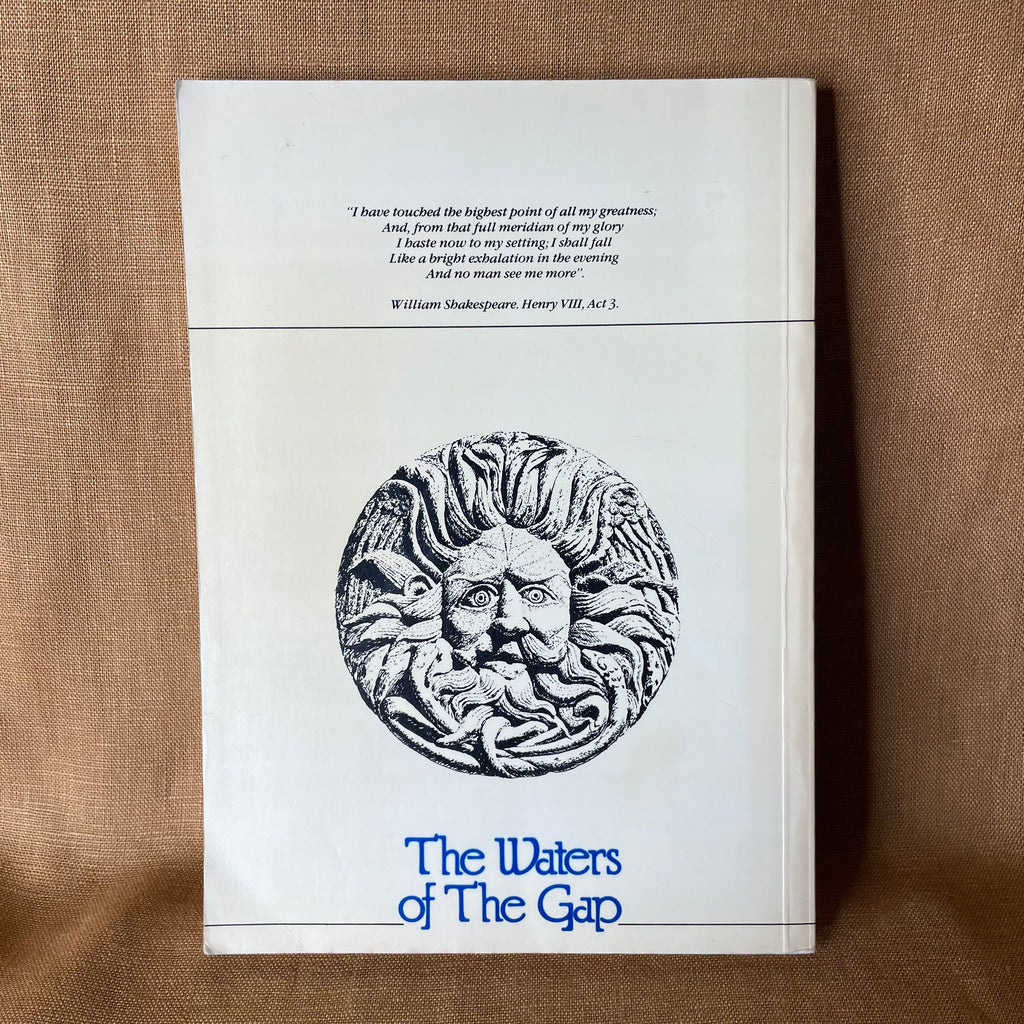 The Waters of the Gap: The Mythology of Aquae Sulis - Bob Stewart