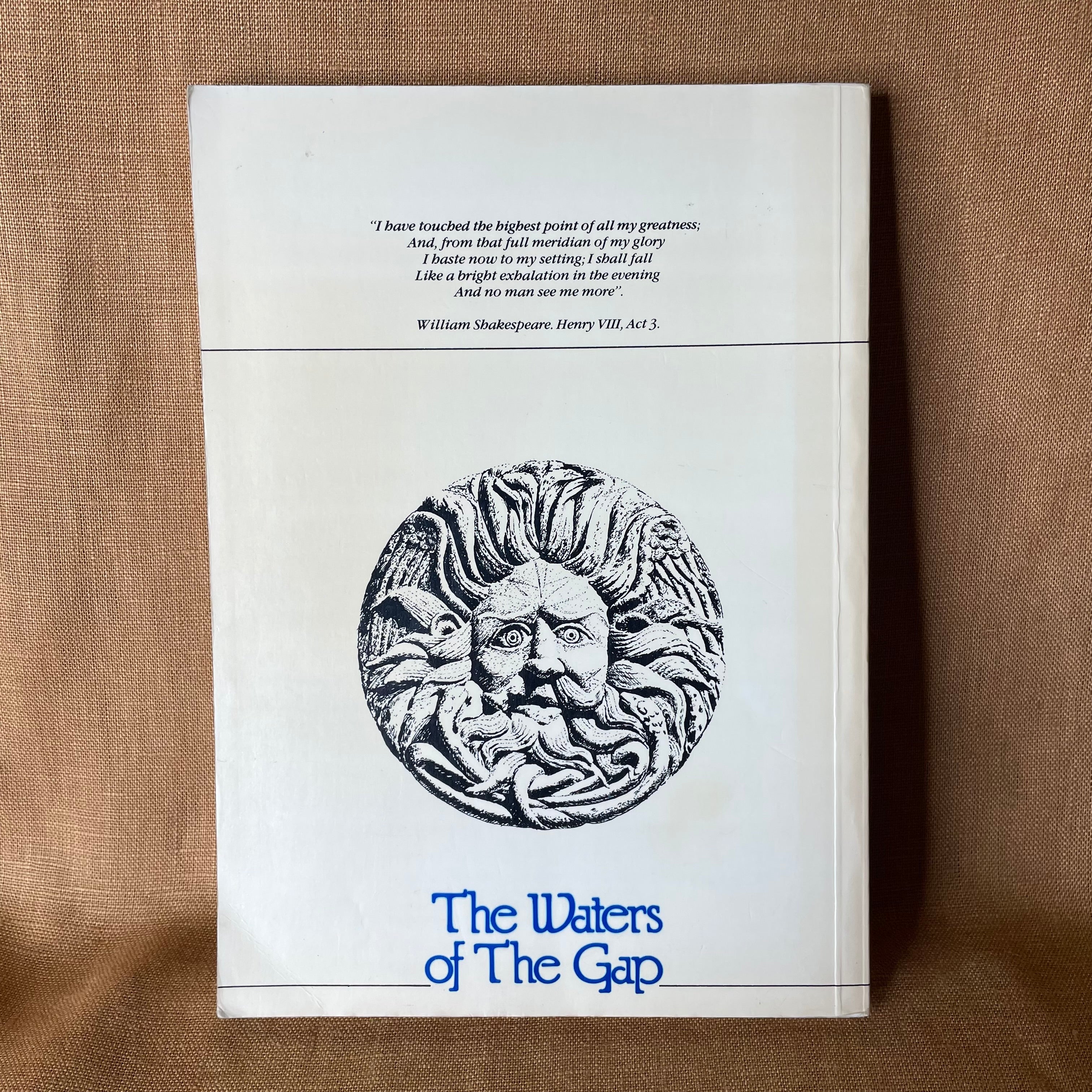 The Waters of the Gap: The Mythology of Aquae Sulis - Bob Stewart