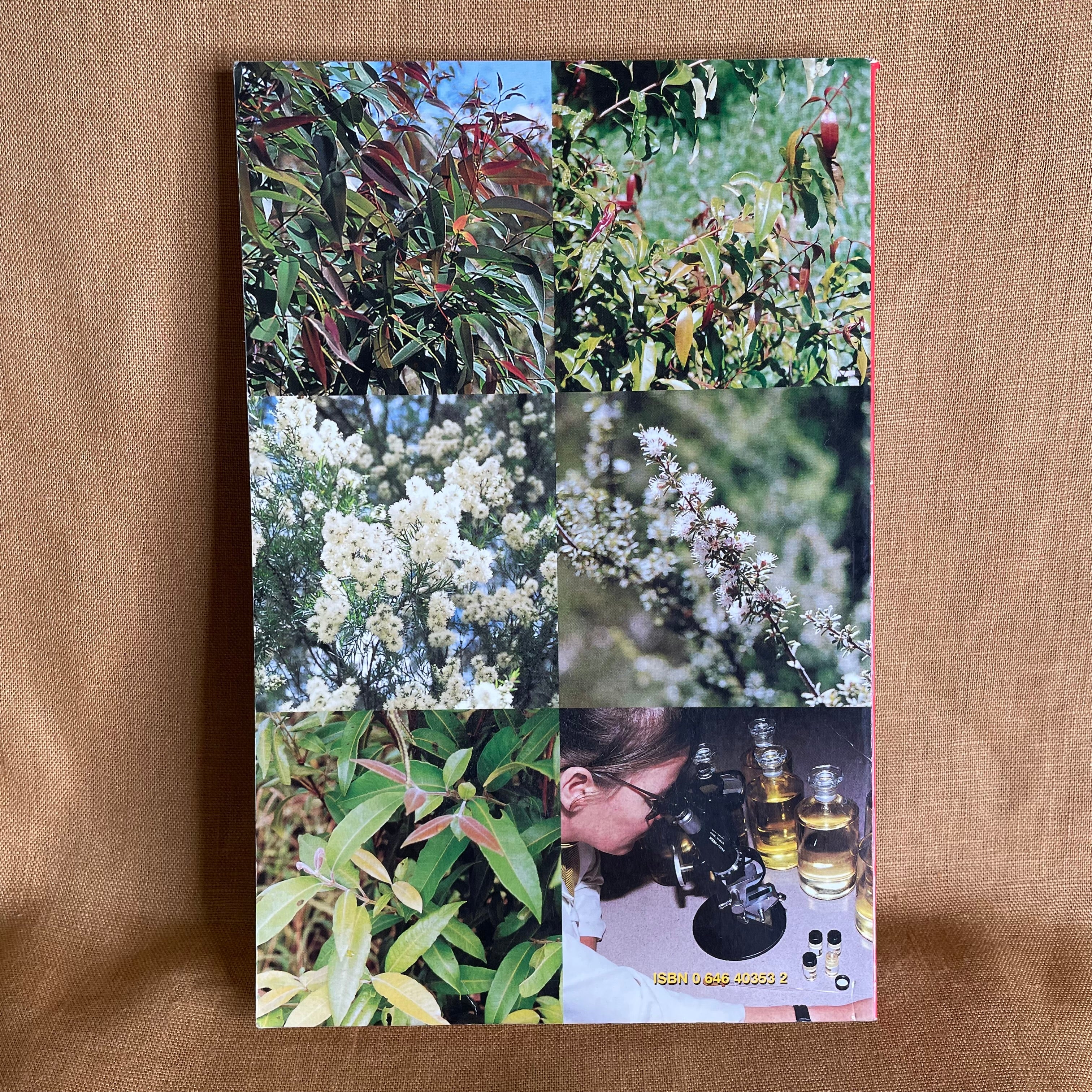 Bush Sense: Australian Essential Oils & Aromatic Compounds - Mark A. Webb
