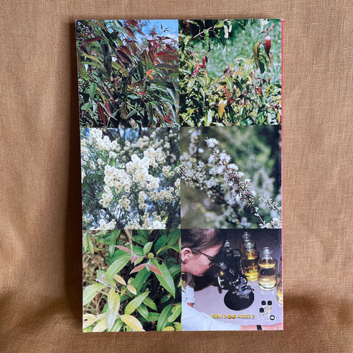 Bush Sense: Australian Essential Oils & Aromatic Compounds - Mark A. Webb