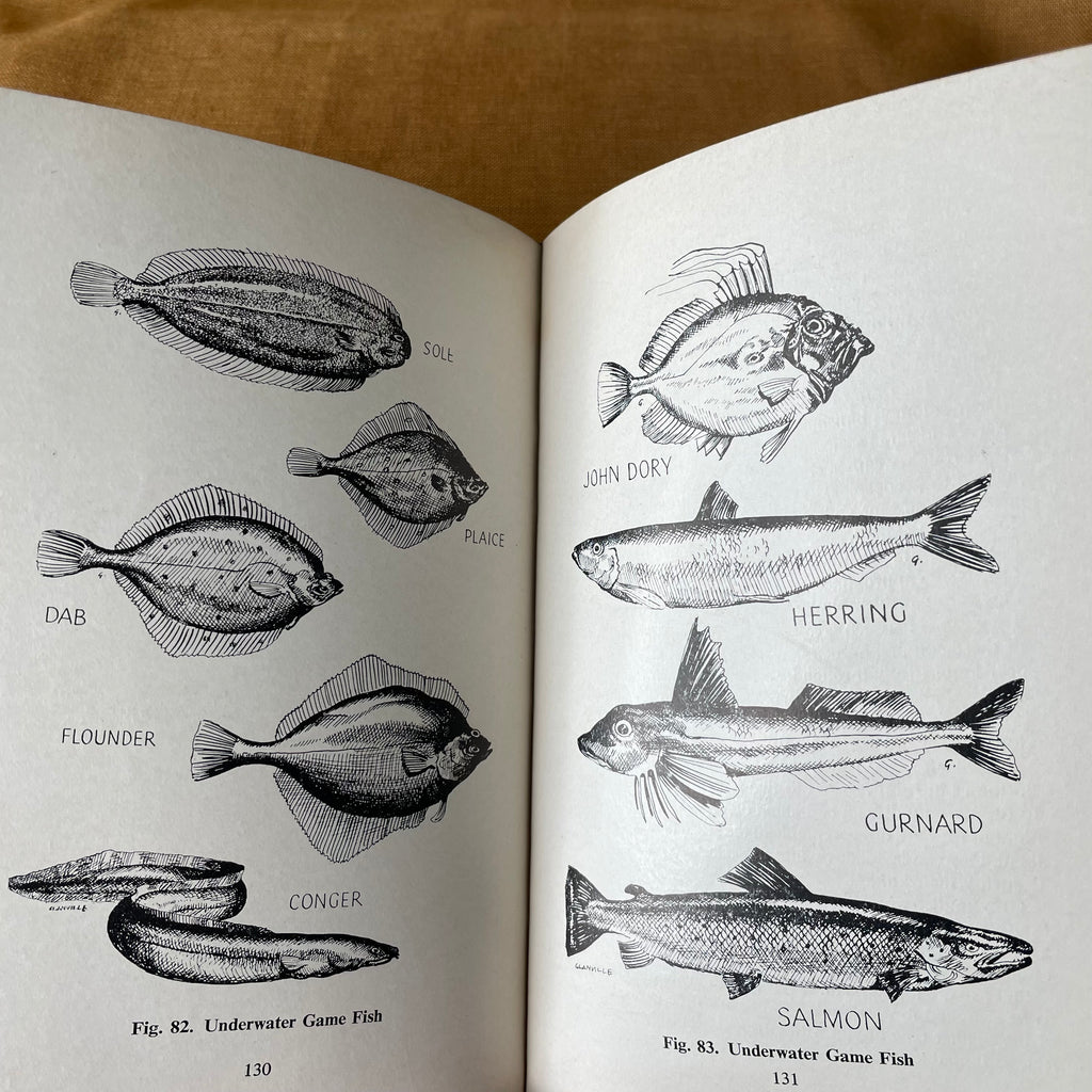 The Master Diver and Underwater Sportsman - Captain T. A. Hampton