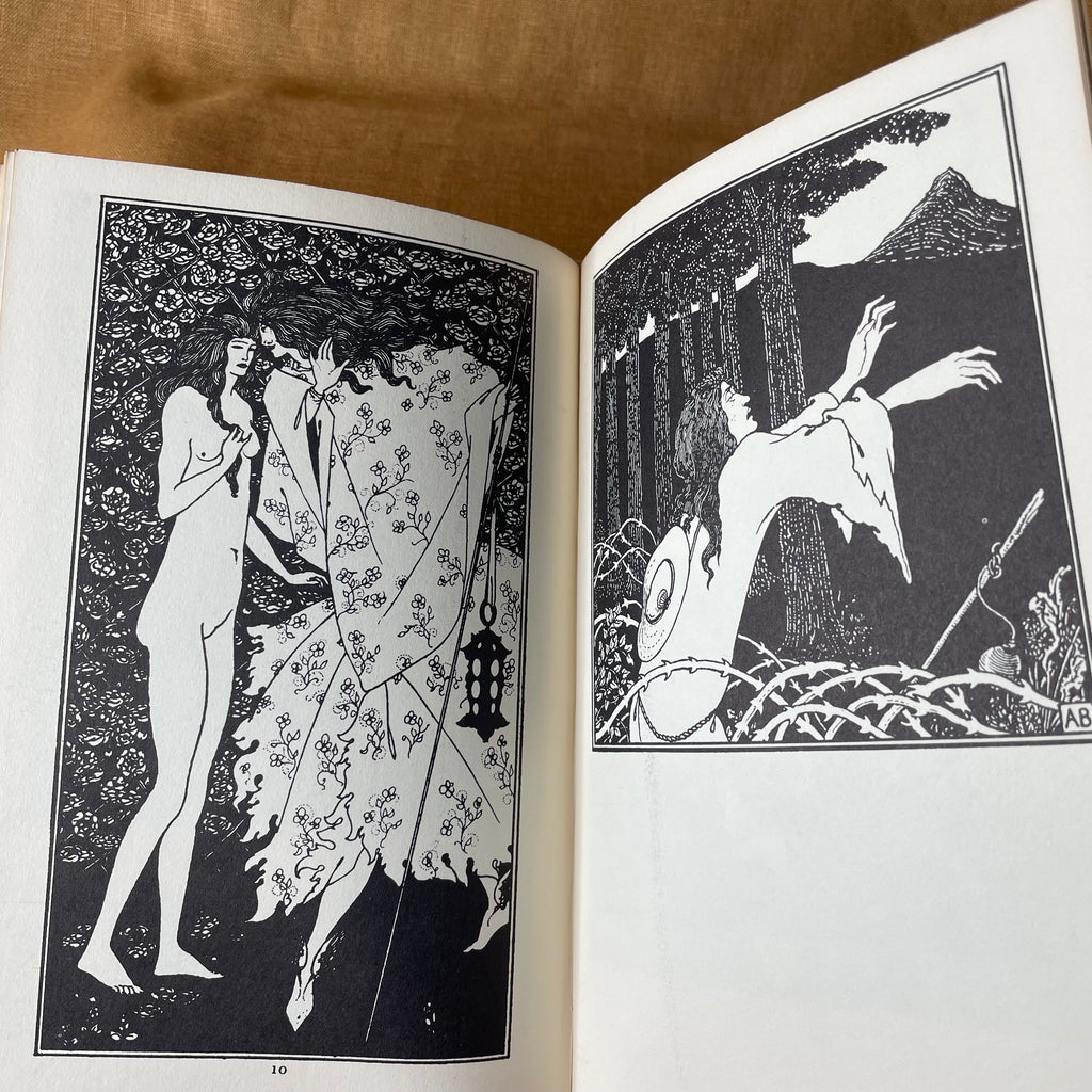 Beardsley: A Biography - Stanley Weintraub