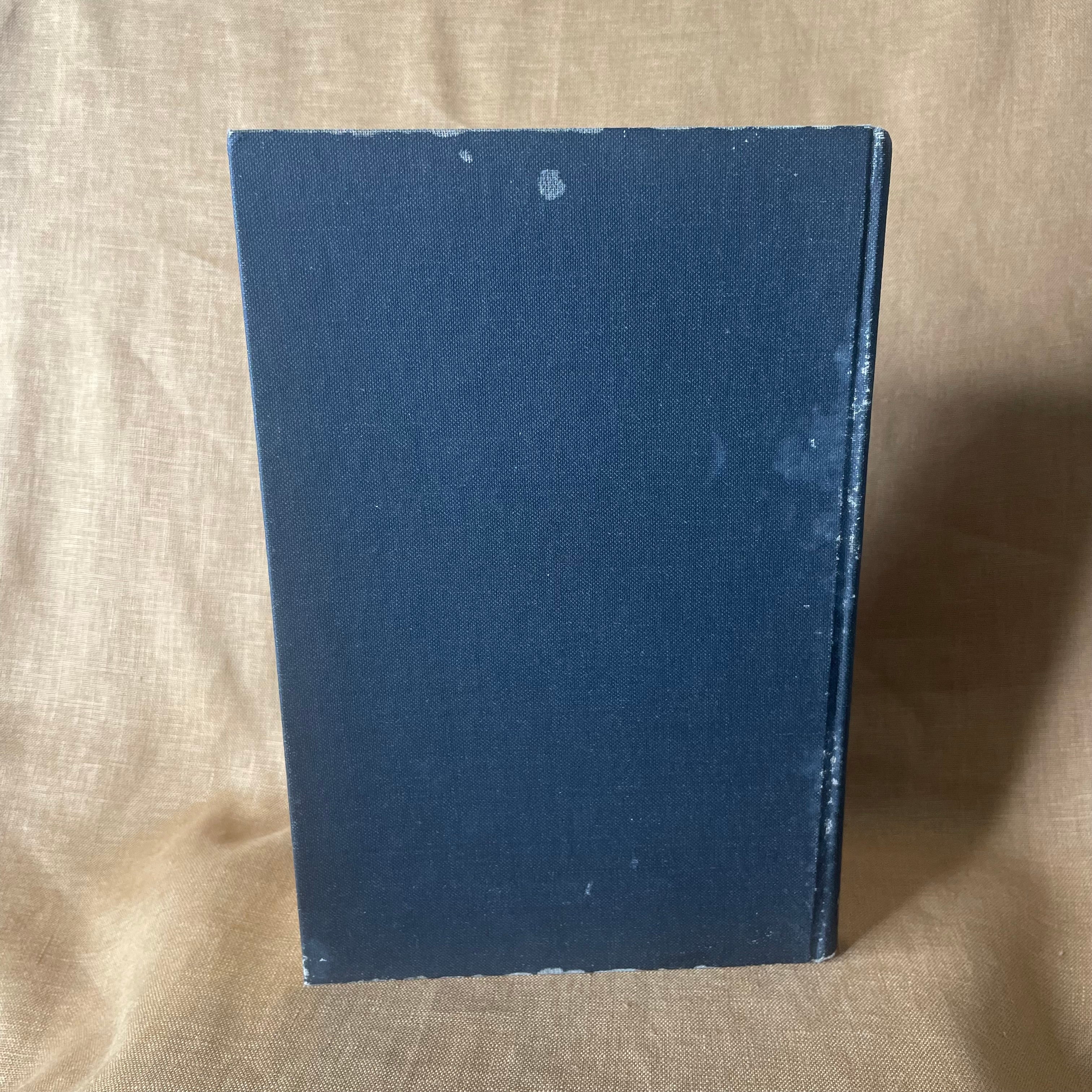 Gay Spirit: A Guide to Becoming a Sensuous Homosexual - David Loovis