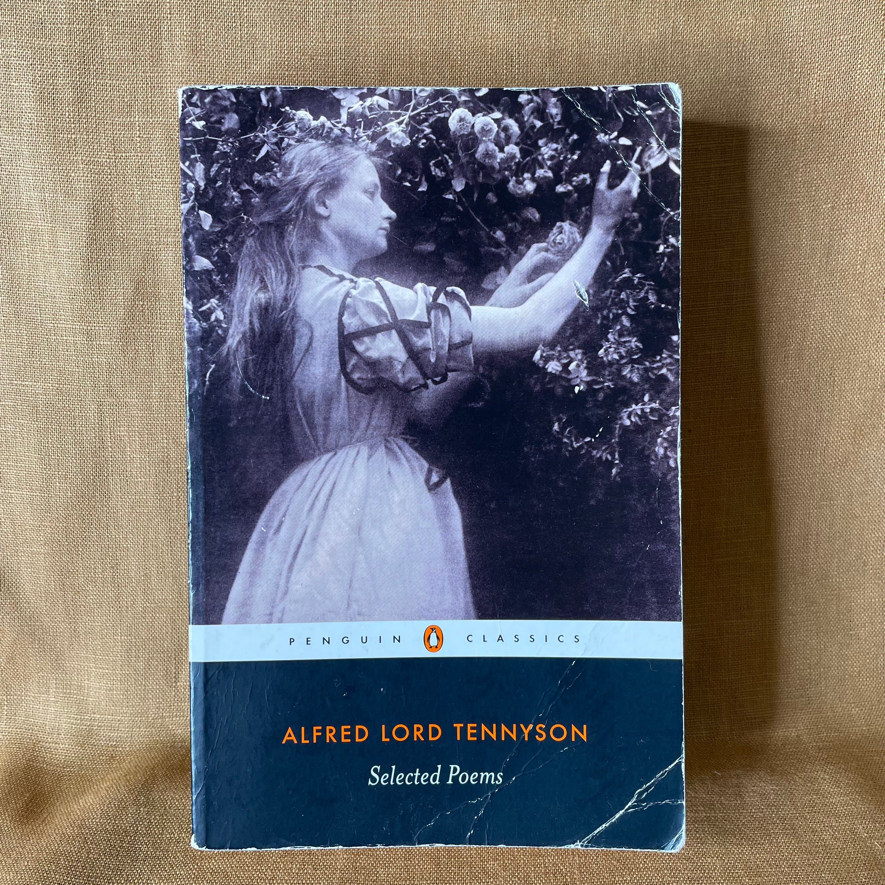 Selected Poems - Alfred Lord Tennyson