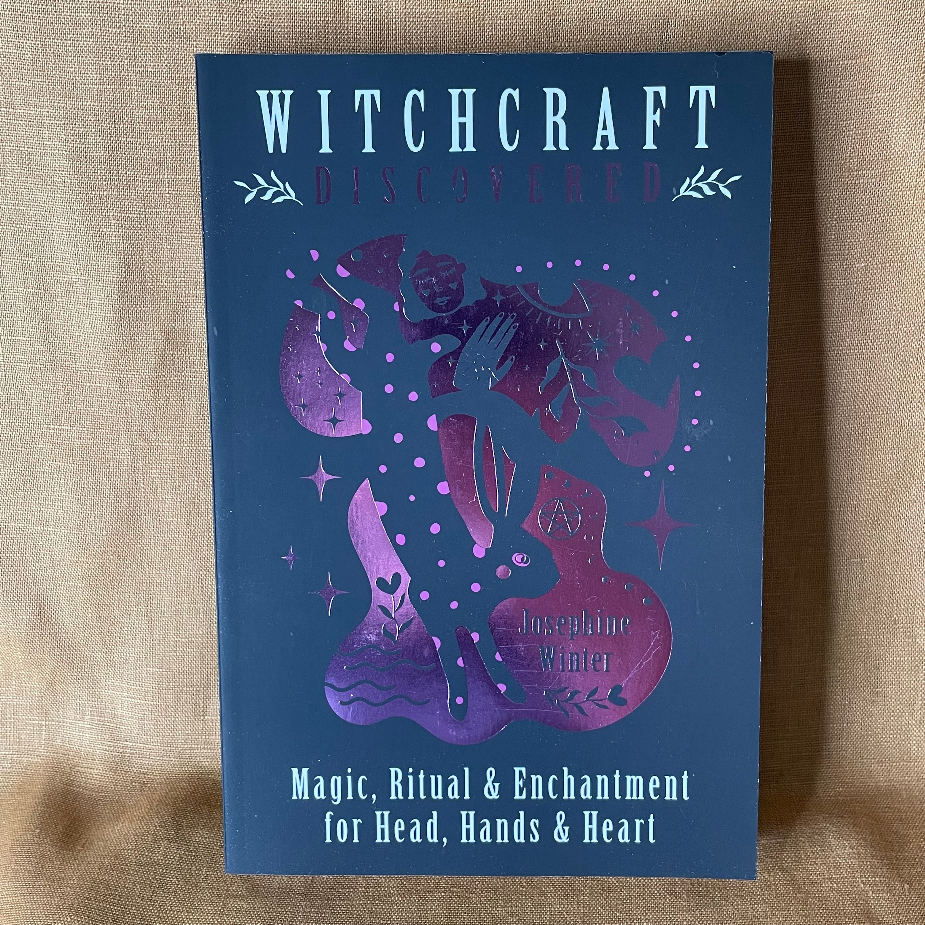 Witchcraft Discovered - Josephine Winter
