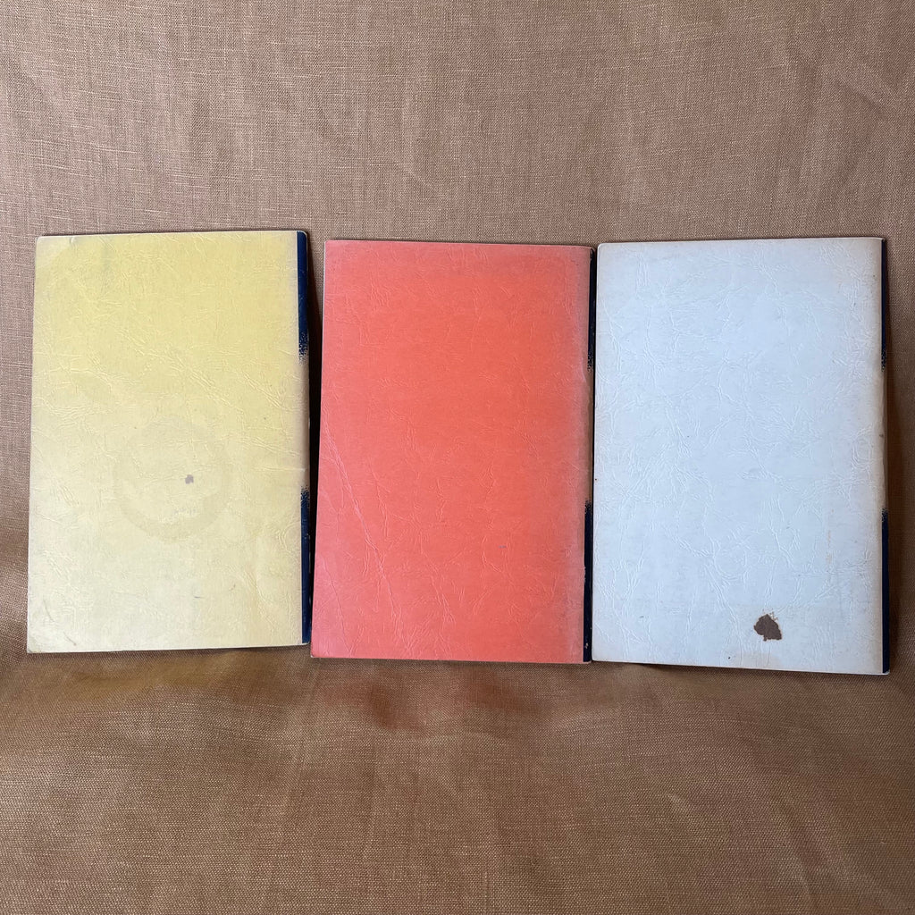 Awareness Techniques Books 1, 2 and 3 - William Swygard