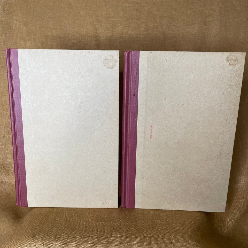Mediums of the 19th Century, Volumes 1 and 2 - Frank Podmore