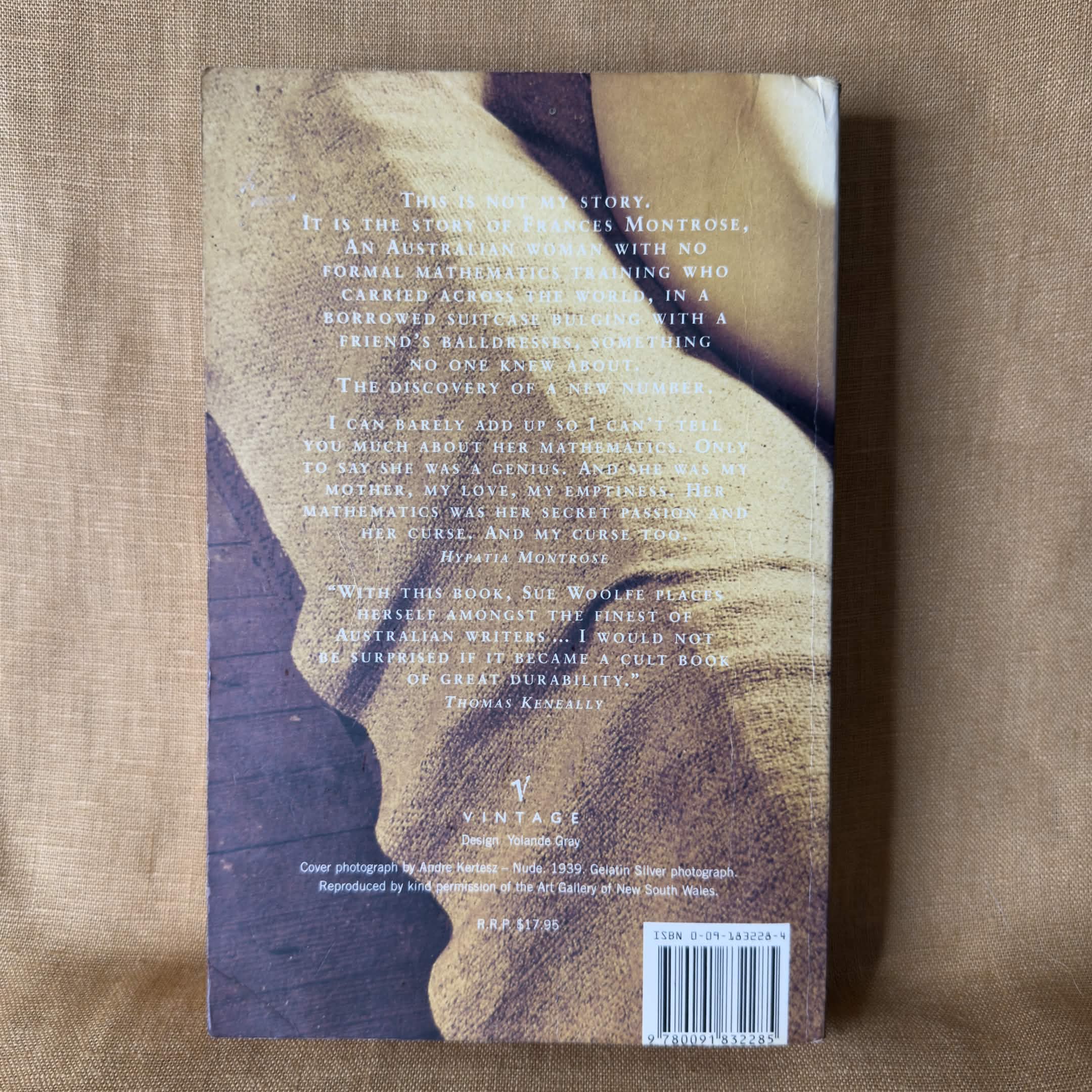 Leaning Towards Infinity — Sue Woolfe