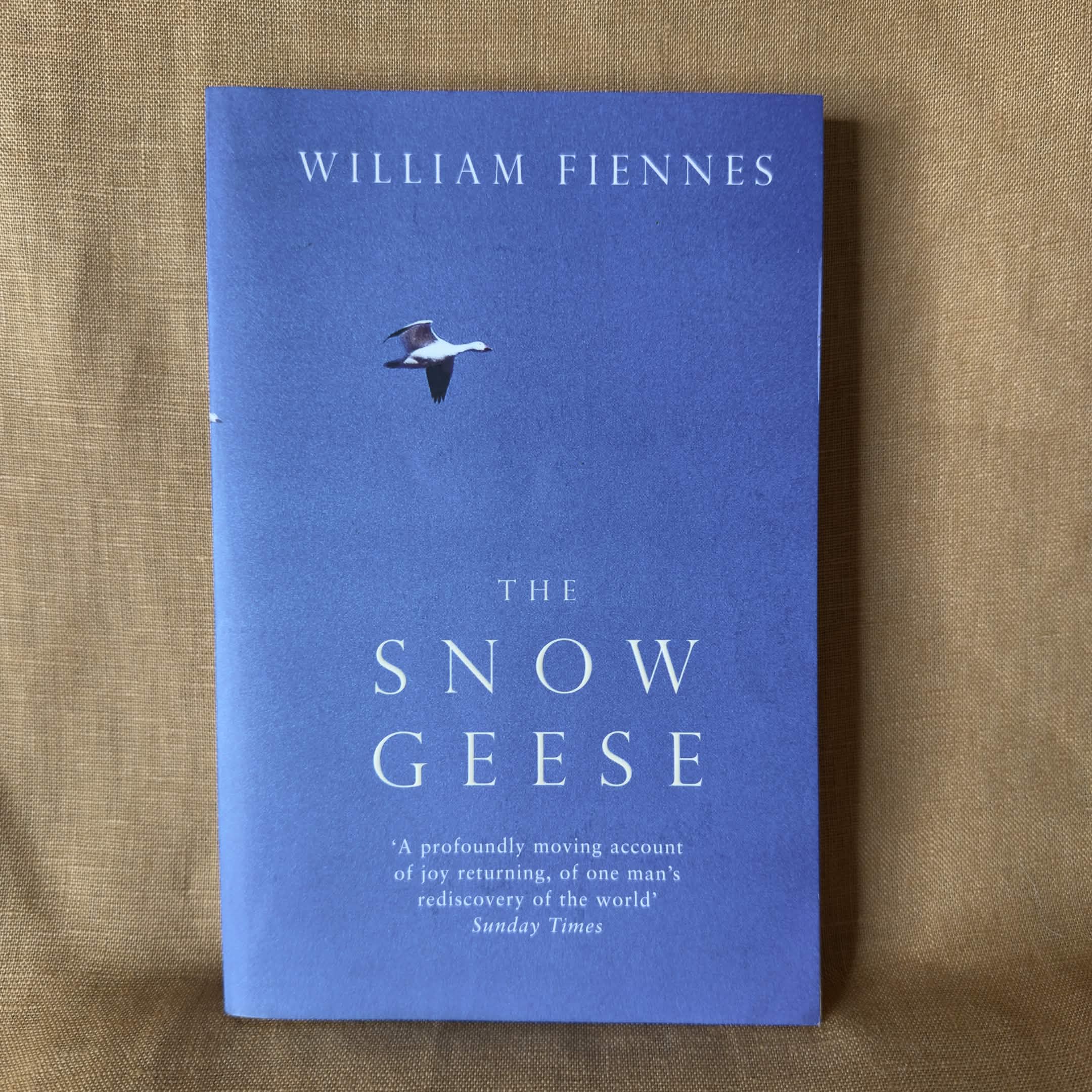 The Snow Geese — William Fiennes