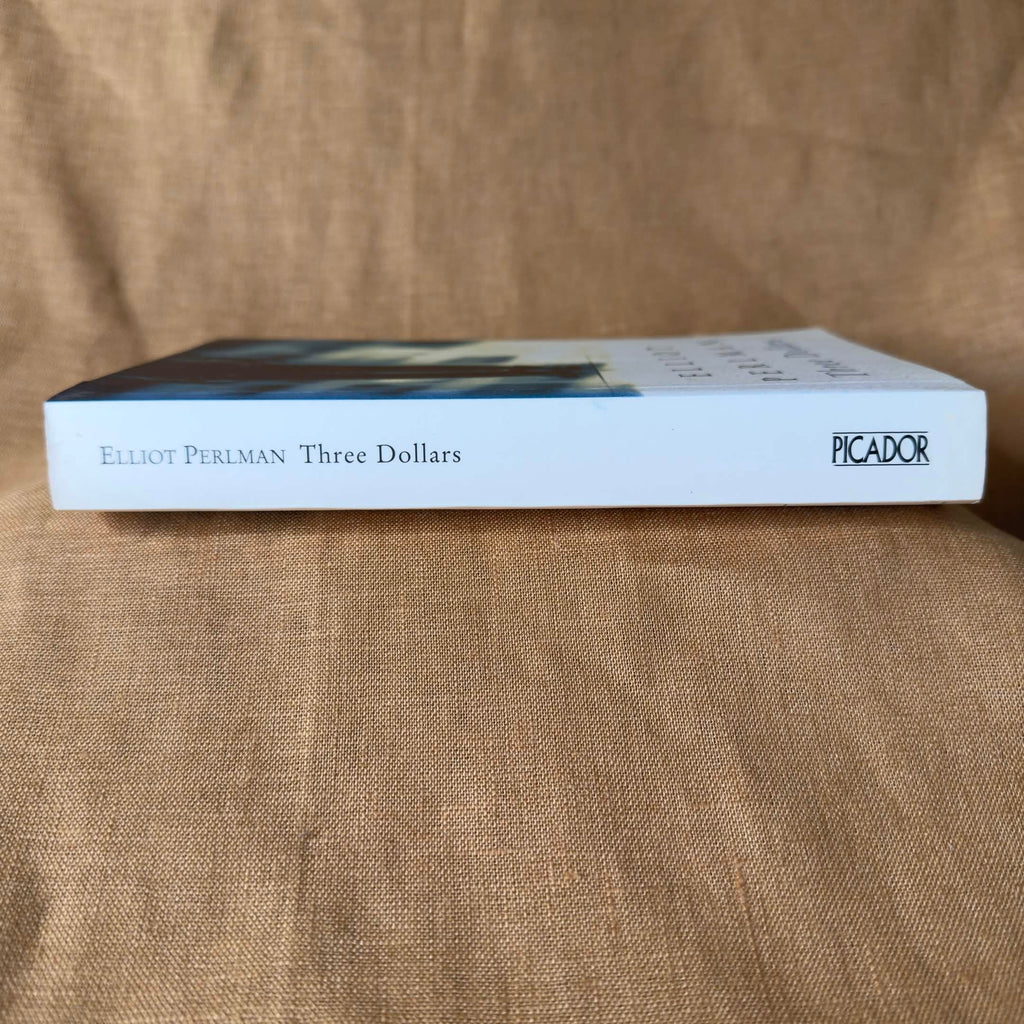 Three Dollars — Elliot Perlman