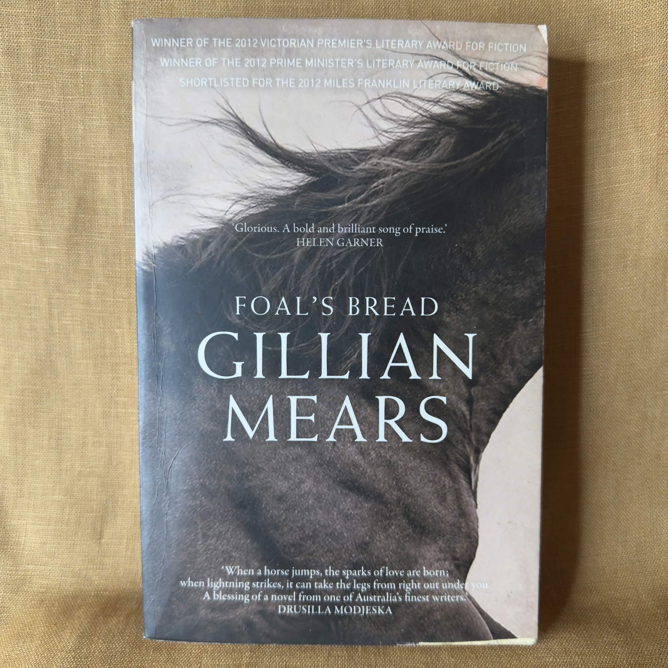 Foal’s Bread — Gillian Mears