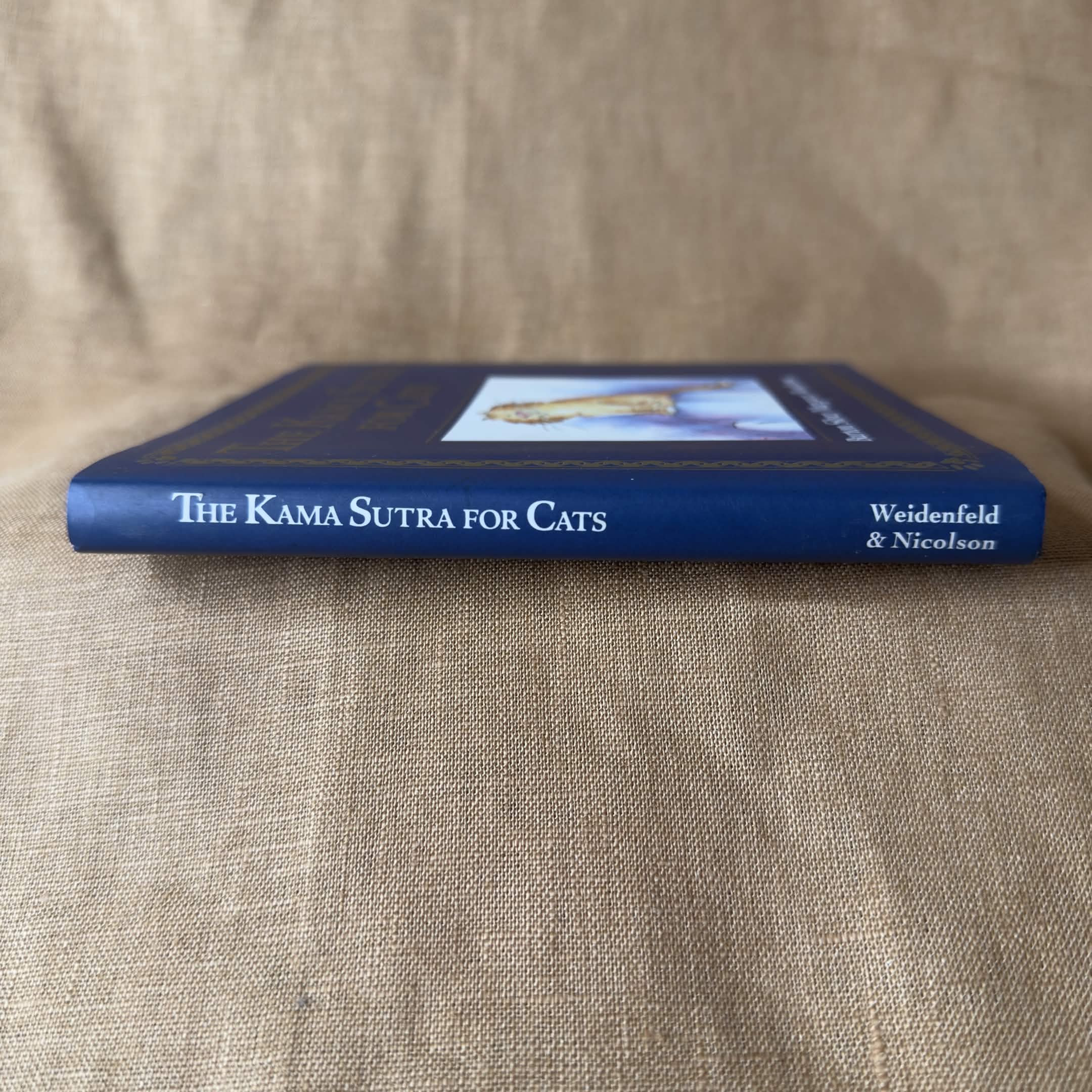 The Kama Sutra for Cats