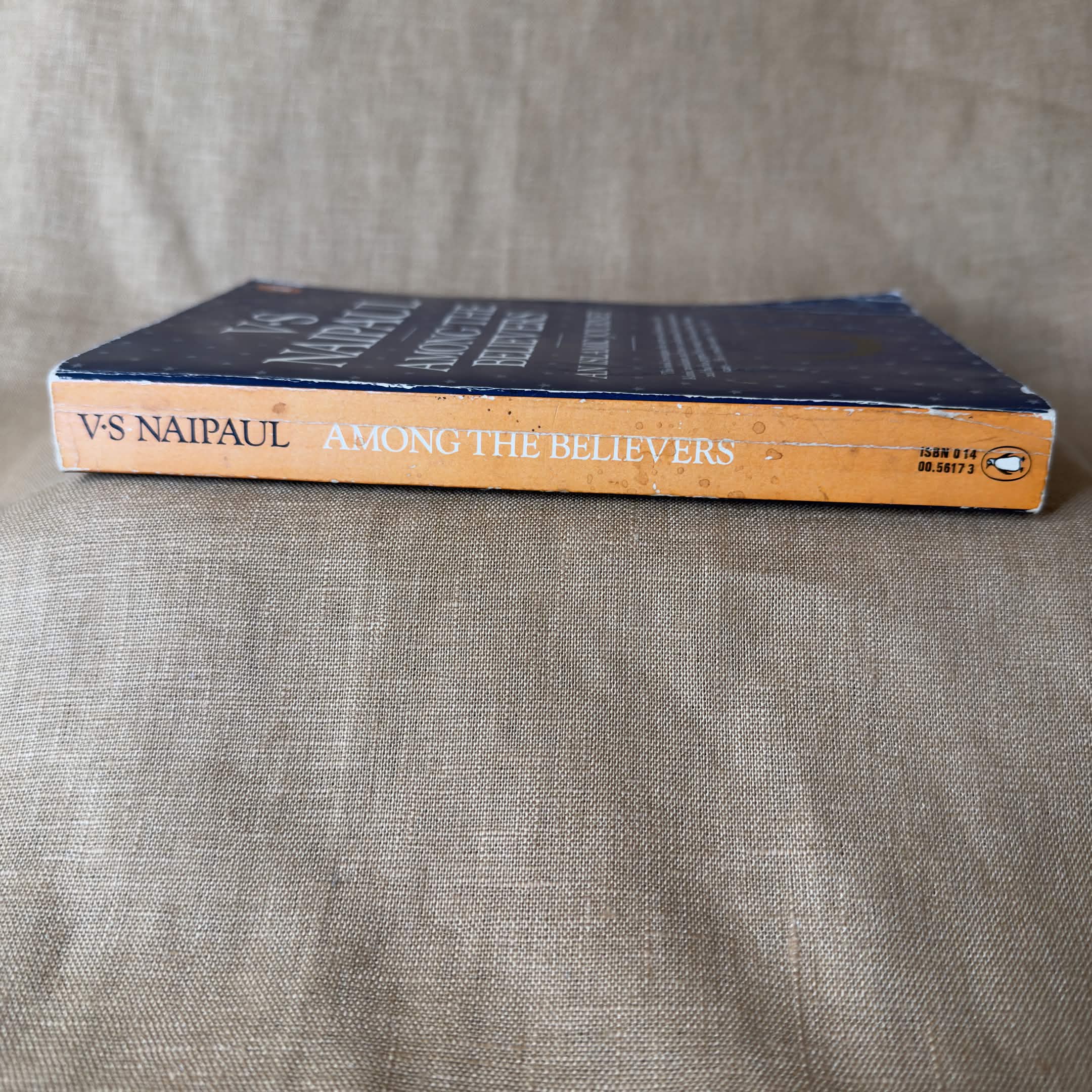 Among the Believers: An Islamic Journey - V. S. Naipaul