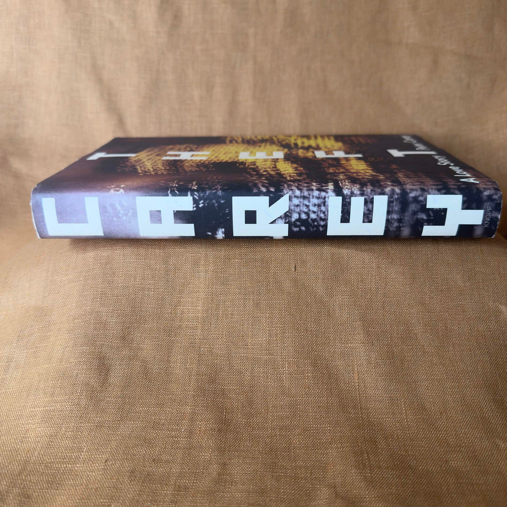 Theft: A Love Story - Peter Carey