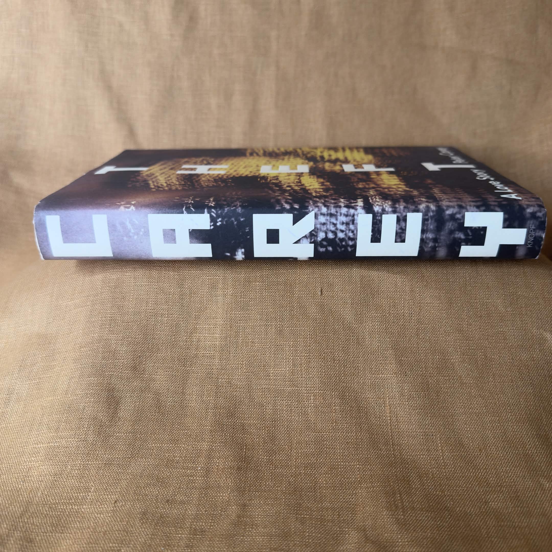 Theft: A Love Story - Peter Carey