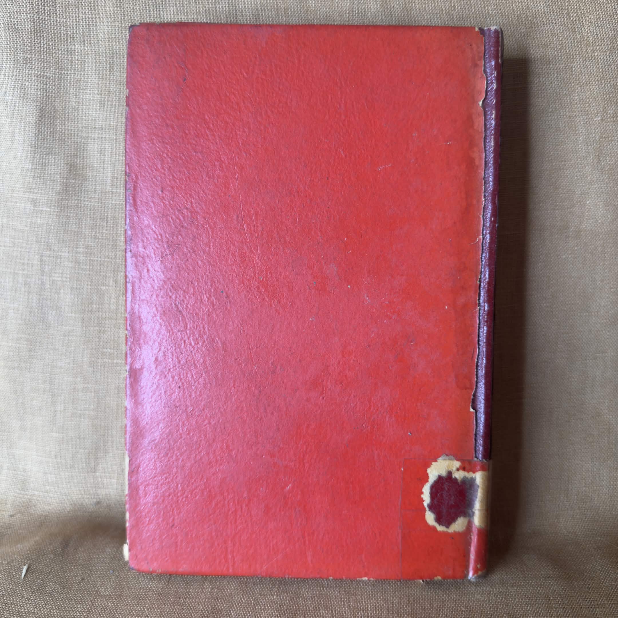 The Channings - Mrs Henry Wood