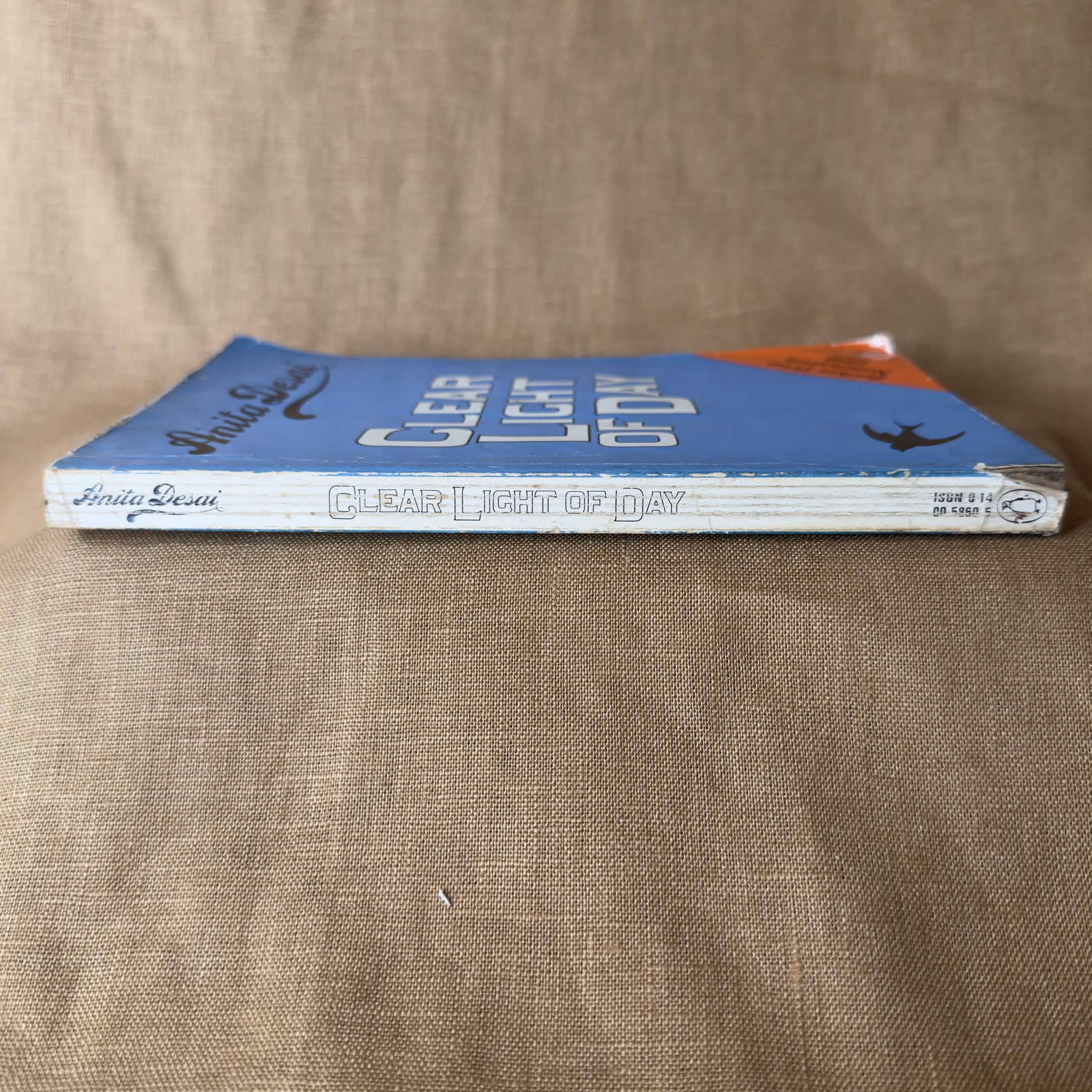 Clear Light of Day - Anita Desai