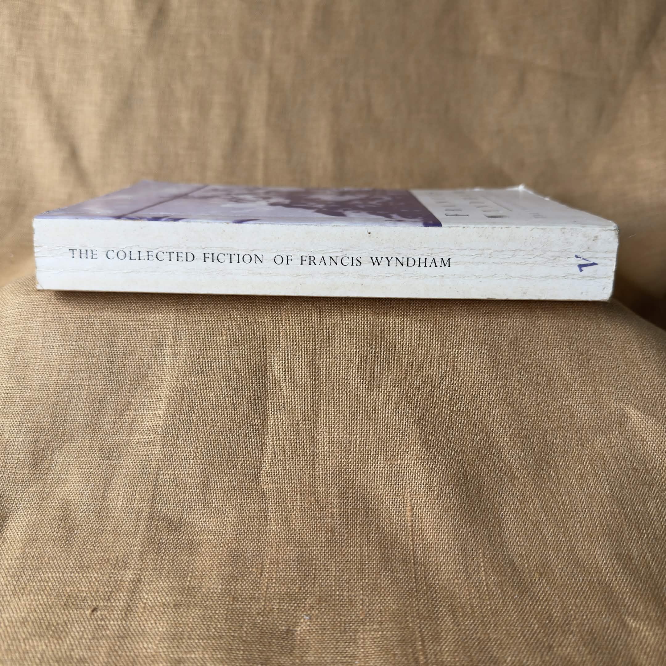 The Collected Fiction of Francis Wyndham - Francis Wyndham