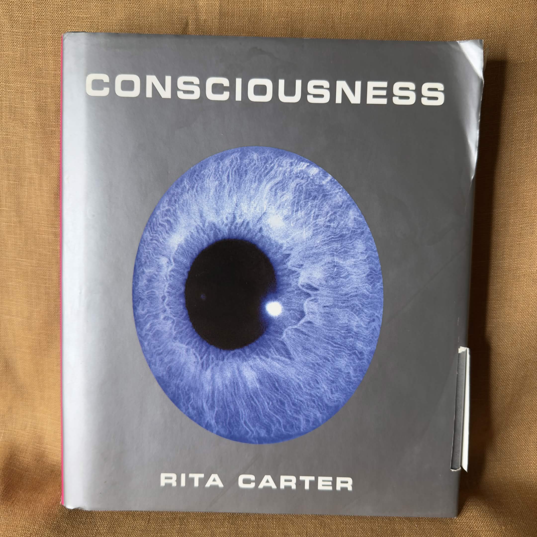 Consciousness - Rita Carter