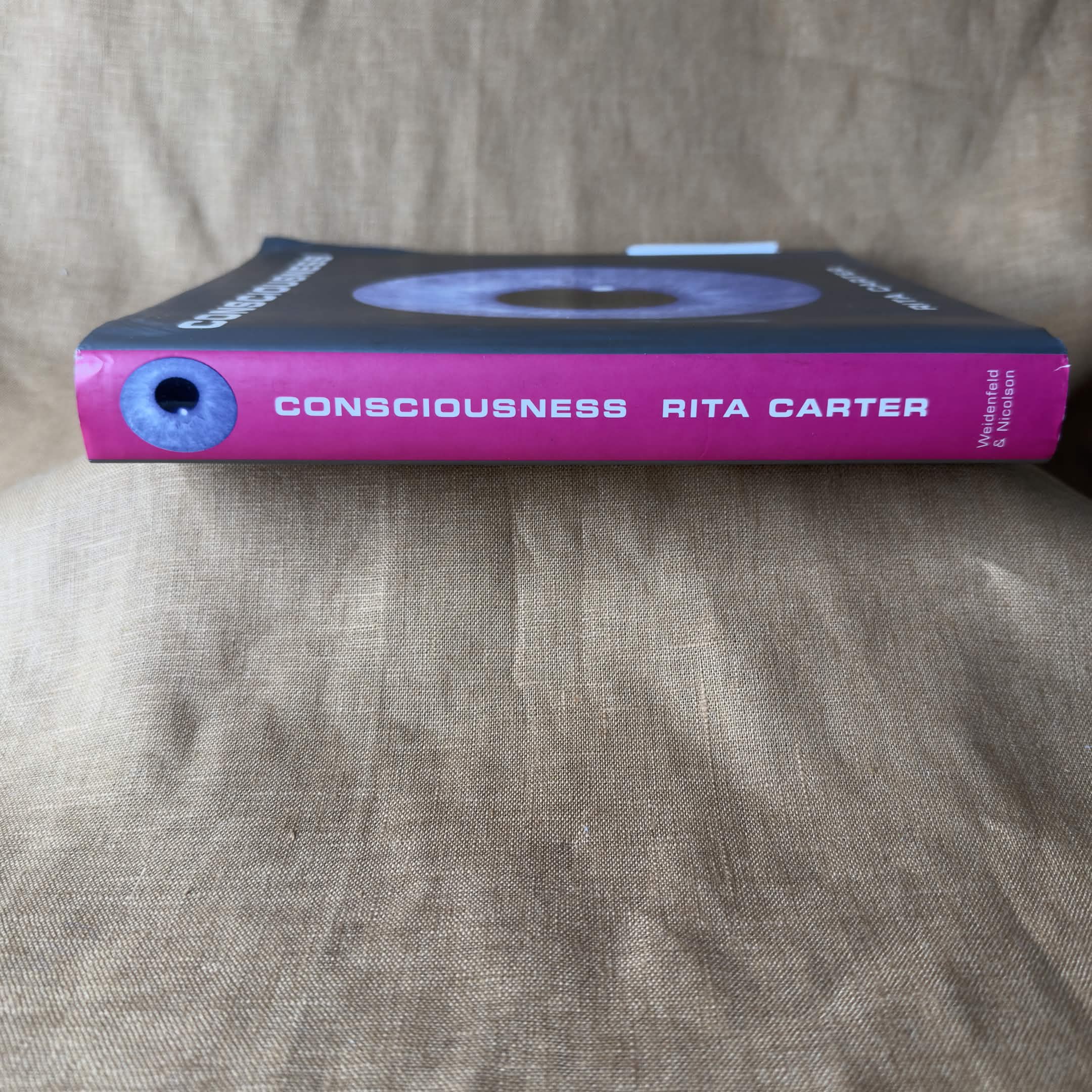 Consciousness - Rita Carter
