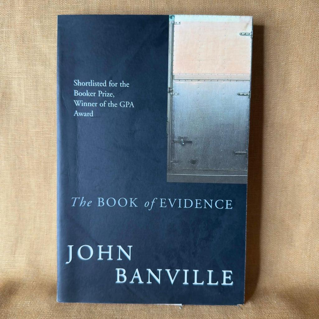 The Book of Evidence - John Banville