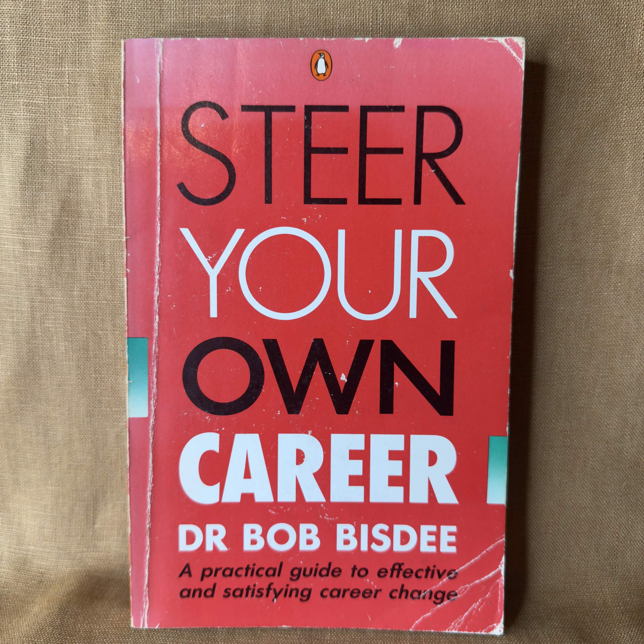 Steer Your Own Career - Dr Bob Bisdee