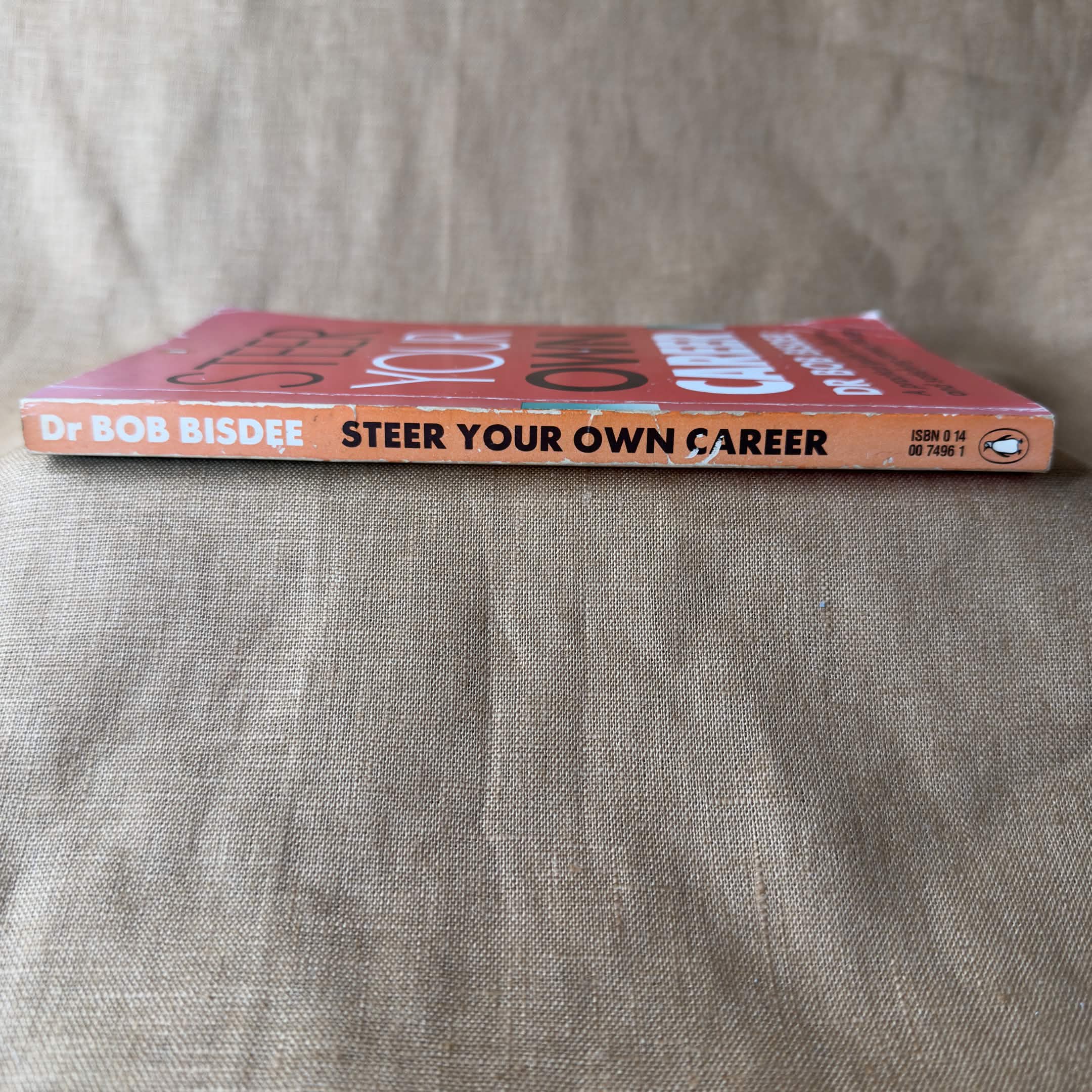 Steer Your Own Career - Dr Bob Bisdee