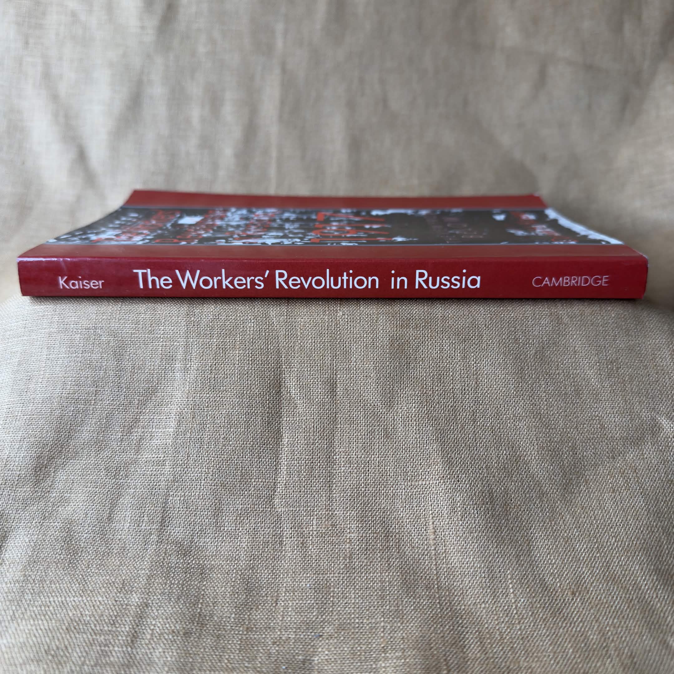 The Workers' Revolution in Russia, 1917 — edited by Daniel H. Kaiser