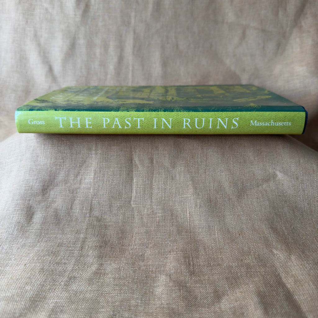 The Past in Ruins: Tradition and the Critique of Modernity — David Gross