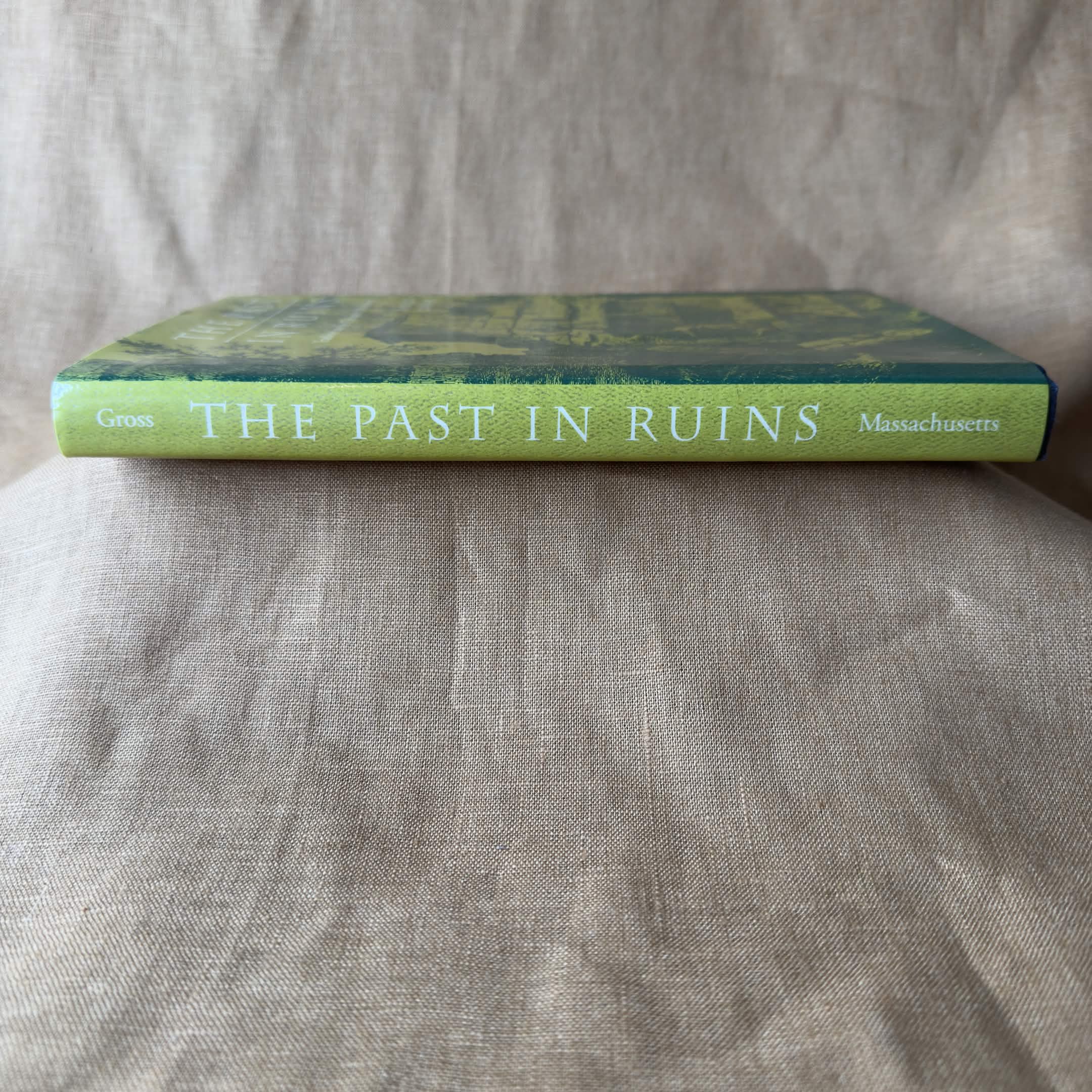 The Past in Ruins: Tradition and the Critique of Modernity — David Gross