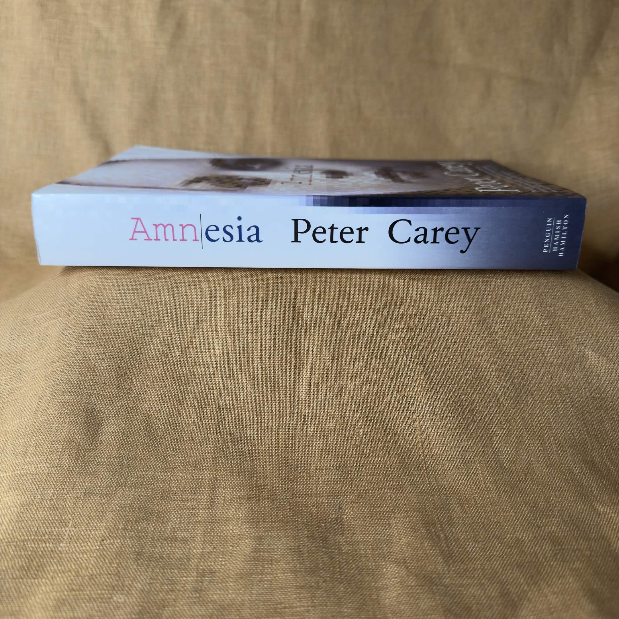 Amnesia — Peter Carey