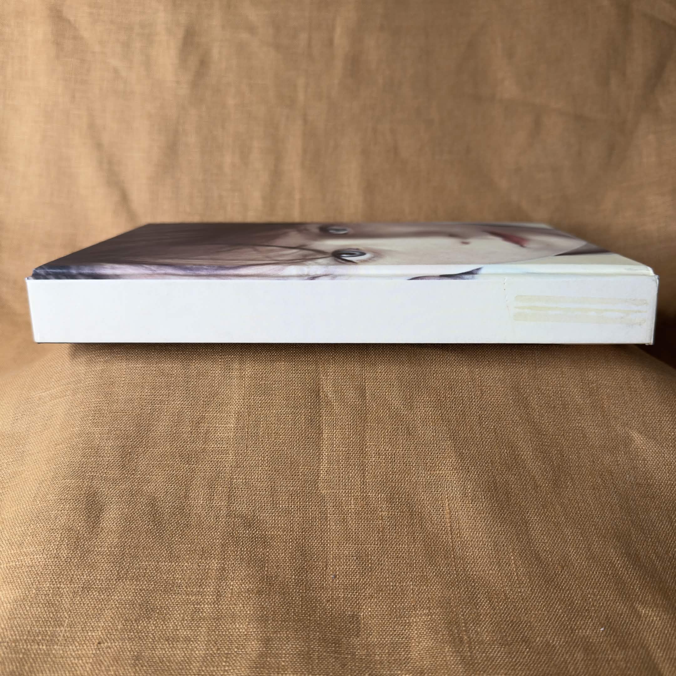 His Illegal Self — Peter Carey