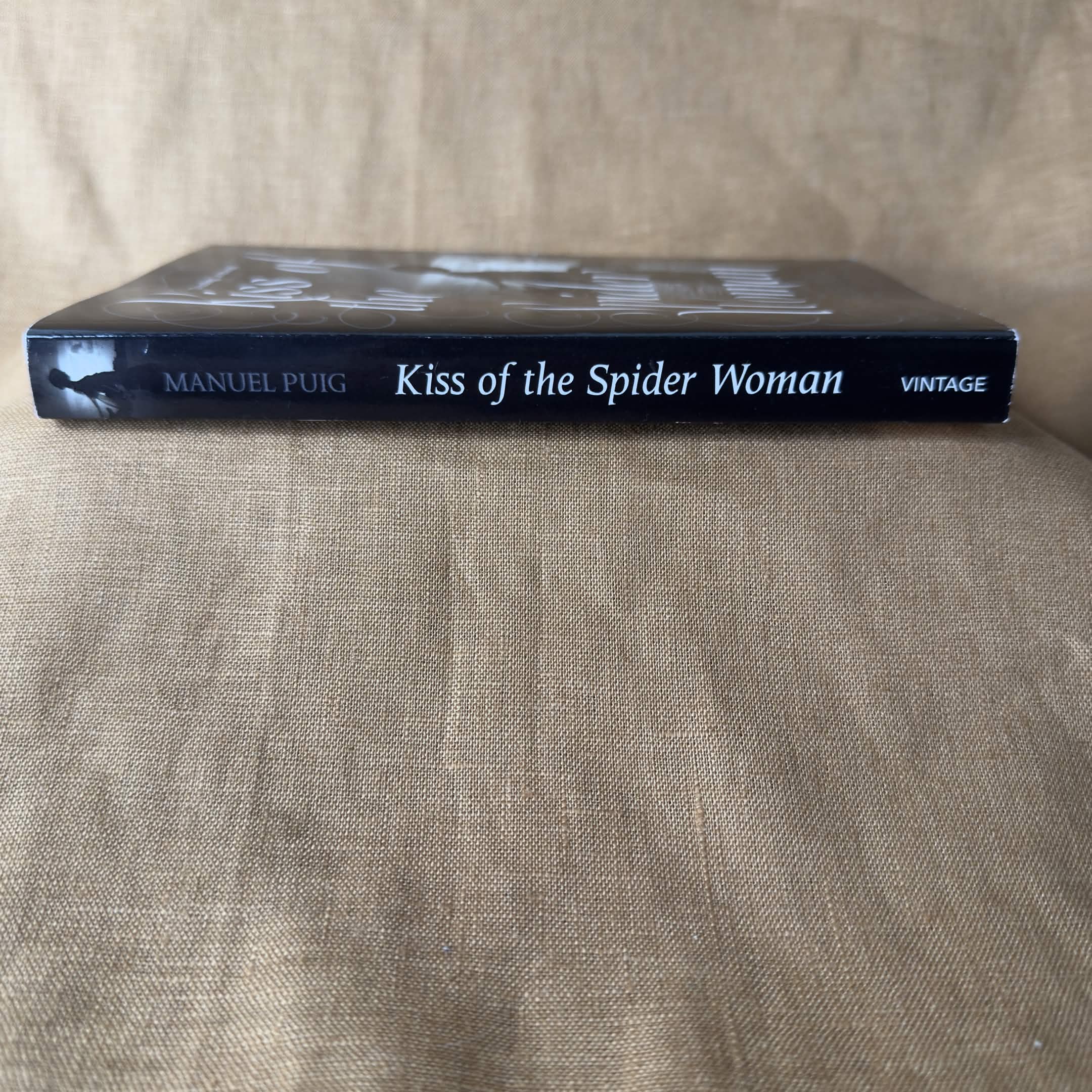 Kiss of the Spider Woman — Manuel Puig