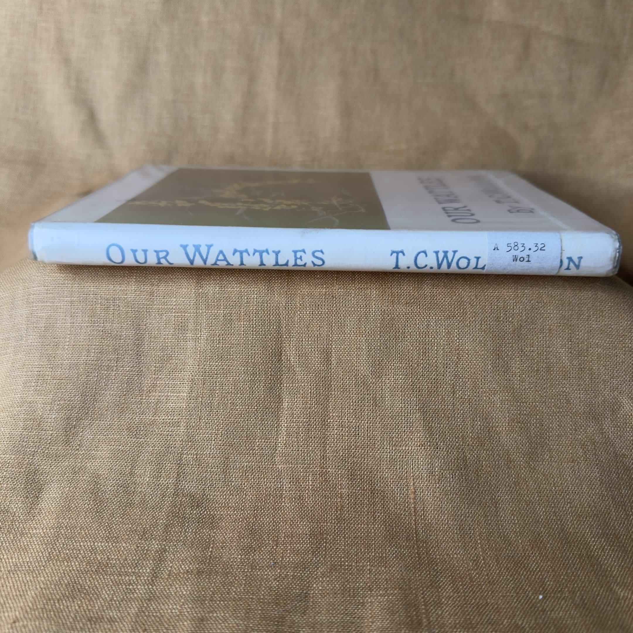Our Wattles — Tullie C. Wollaston