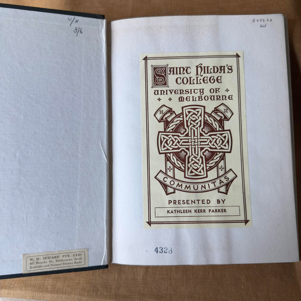 Our Wattles — Tullie C. Wollaston