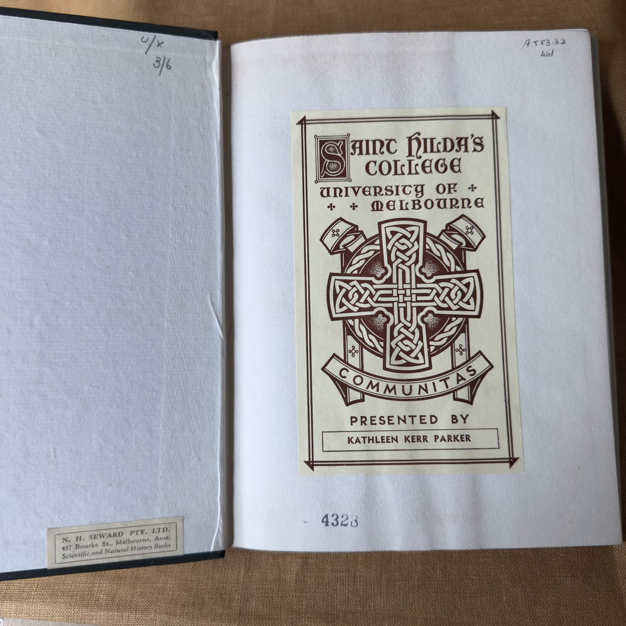 Our Wattles — Tullie C. Wollaston