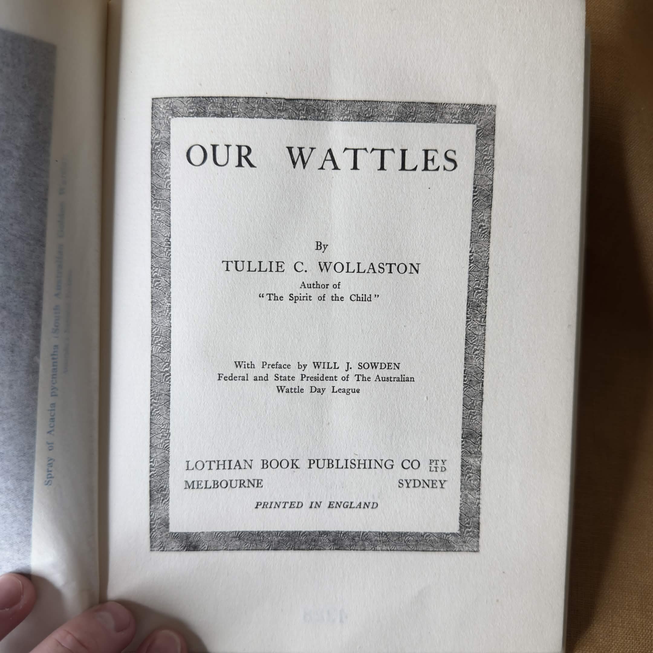 Our Wattles — Tullie C. Wollaston