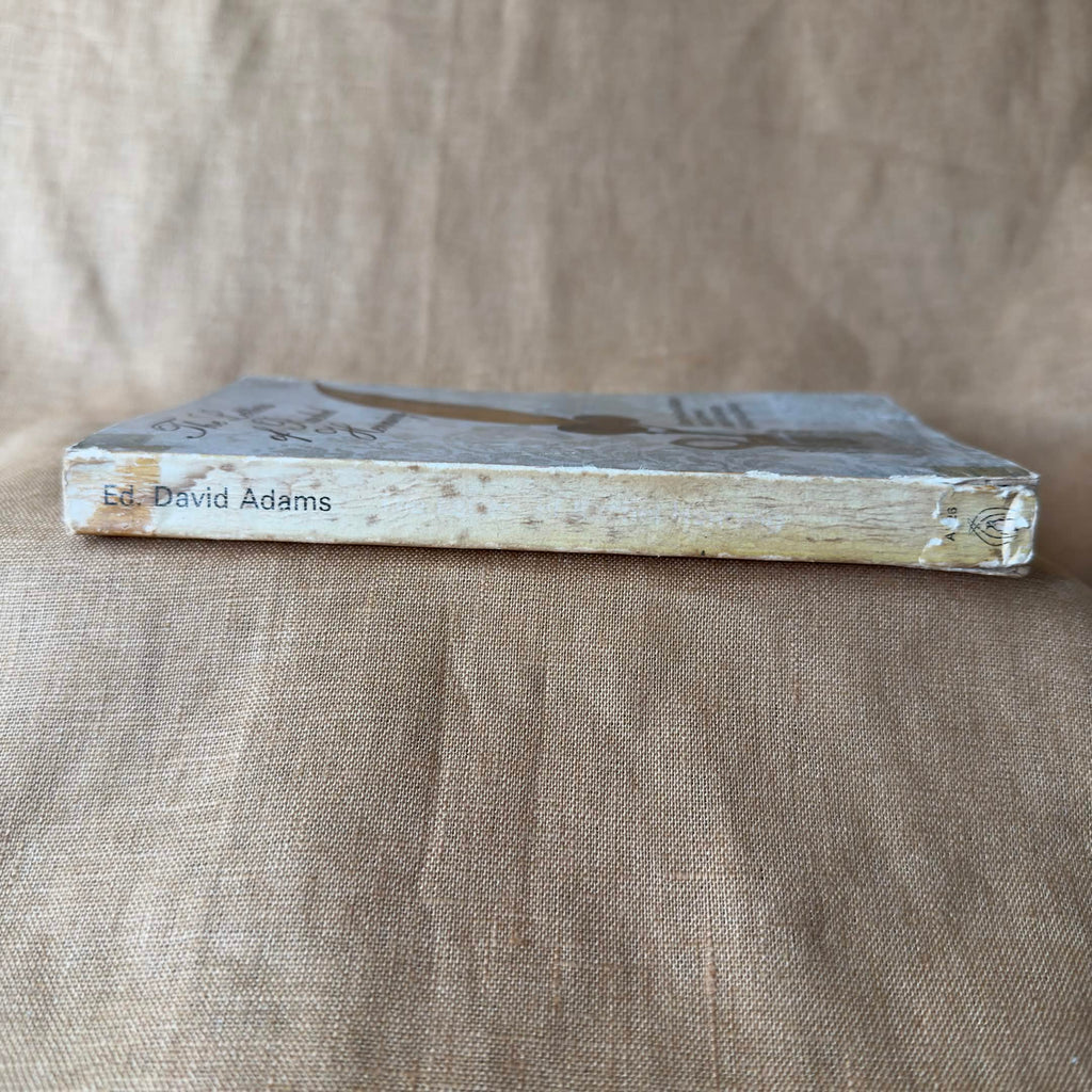 The Letters of Rachel Henning — Rachel Henning