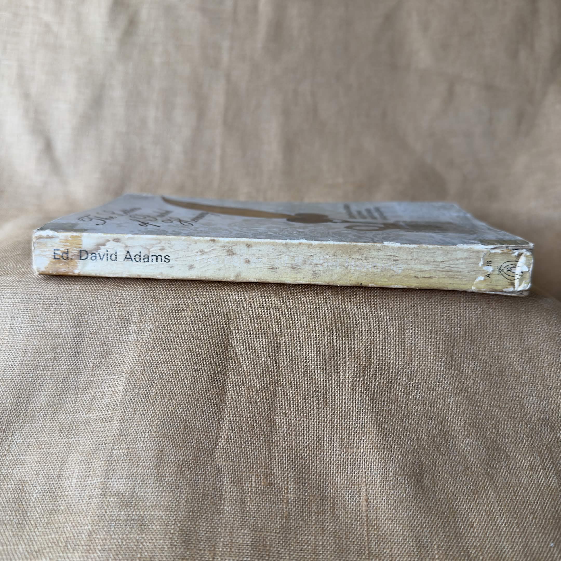The Letters of Rachel Henning — Rachel Henning