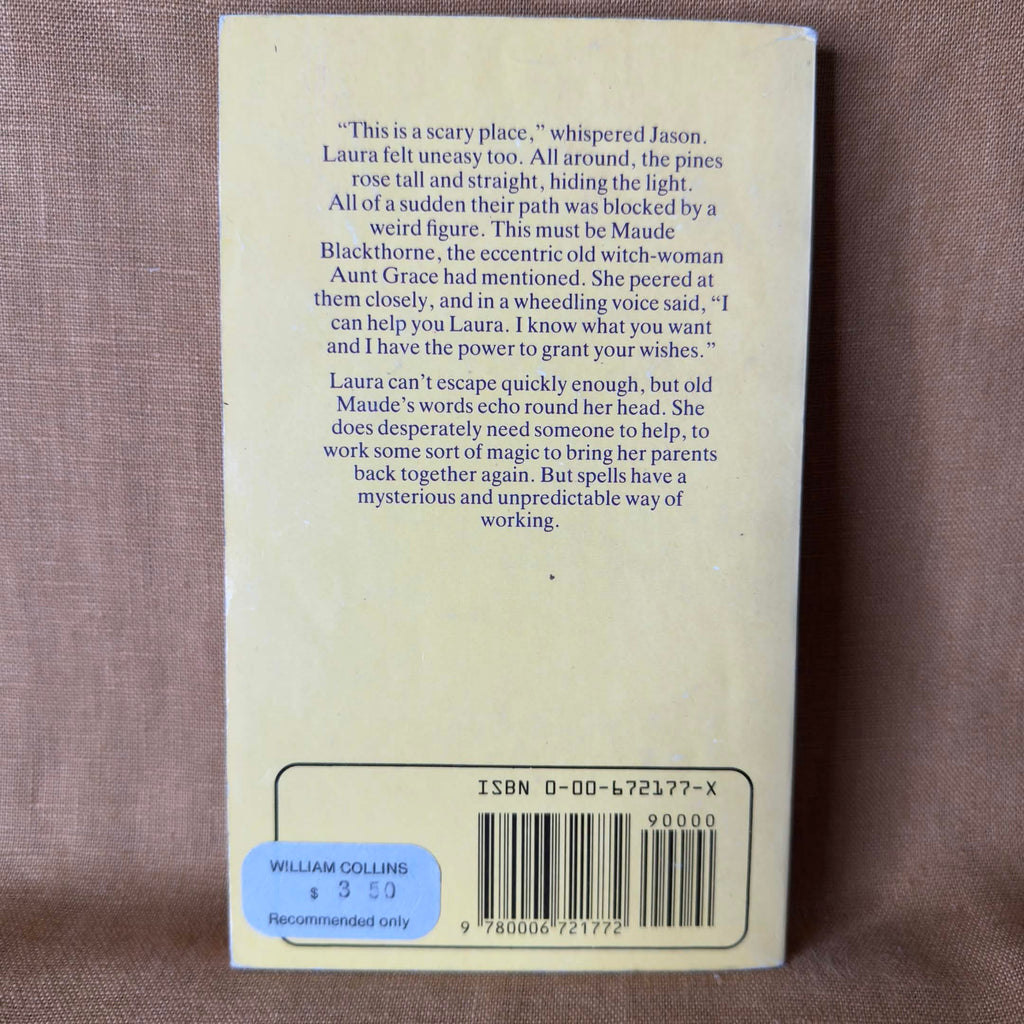 The Time of the Witch — Mary Downing Hahn
