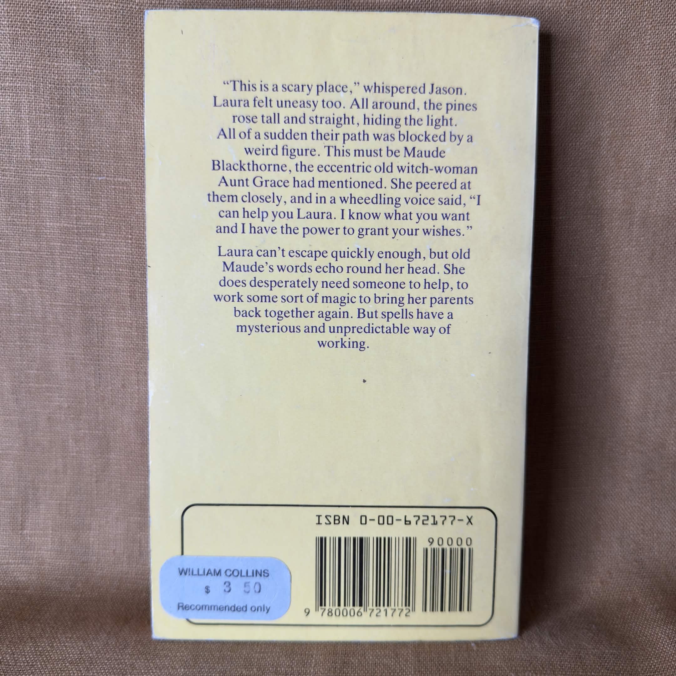The Time of the Witch — Mary Downing Hahn