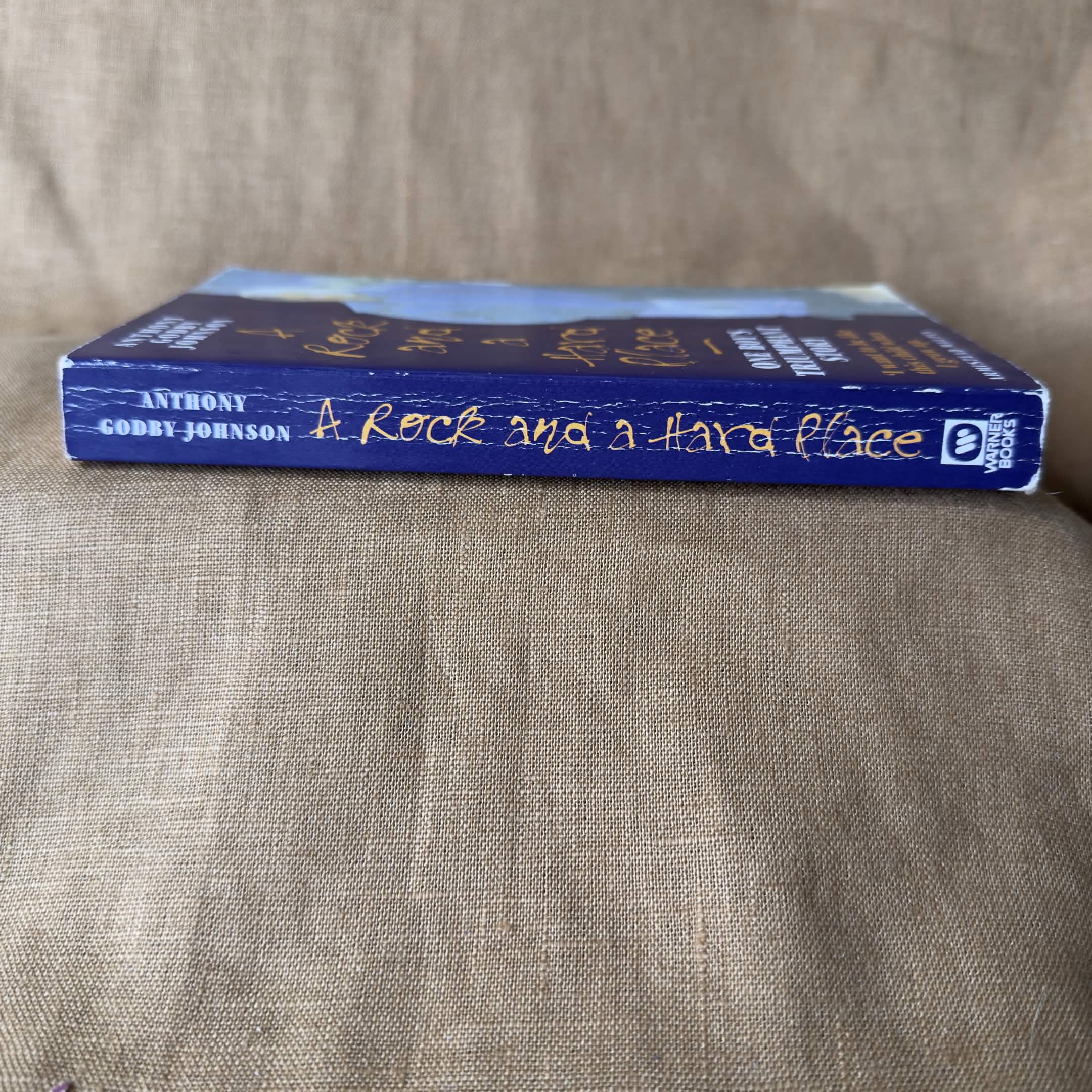 A Rock and a Hard Place: One Boy’s Triumphant Story — Anthony Godby Johnson
