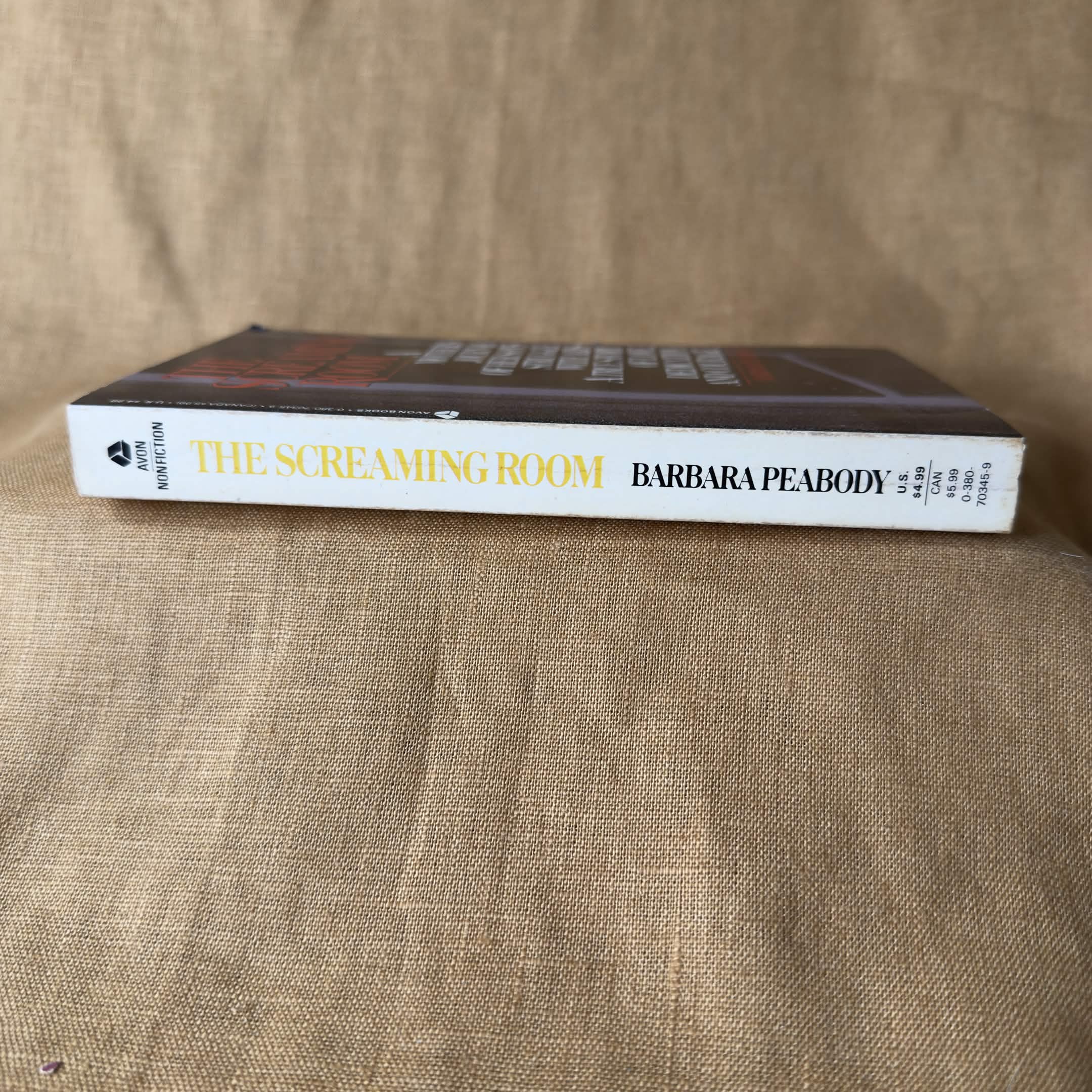 The Screaming Room: A Mother’s Journal of Her Son’s Struggle with AIDS — Barbara Peabody