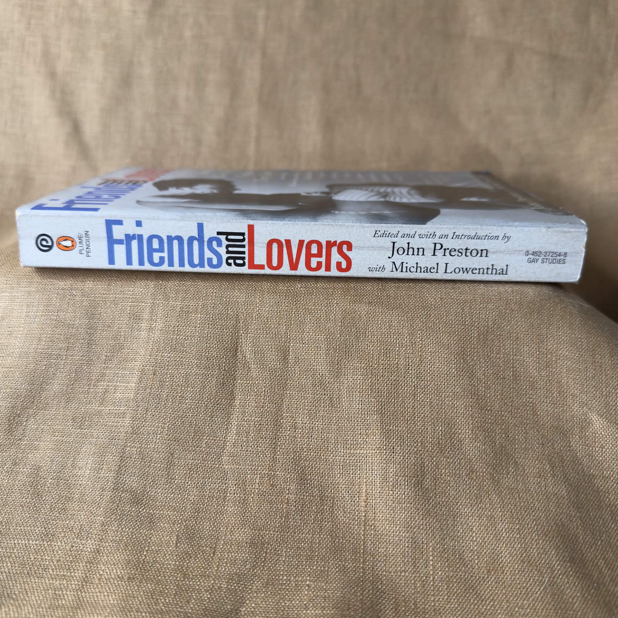 Friends and Lovers: Gay Men Write About the Families They Create — John Preston and Michael Lowenthal