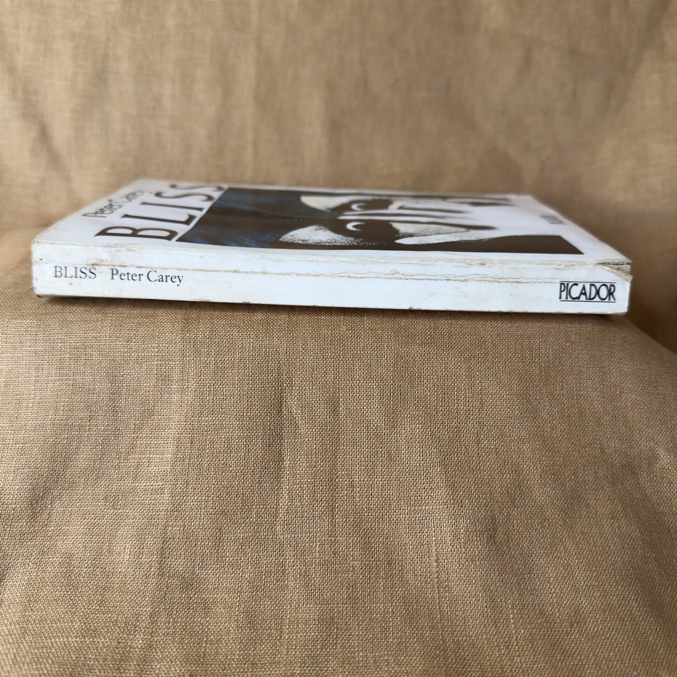 Bliss — Peter Carey